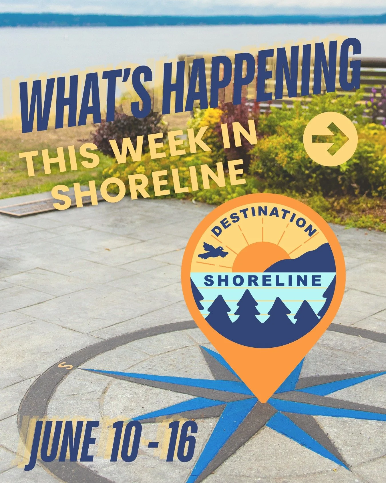 🌈🌊 What's Happening This Week in Shoreline? June 11&ndash;16
The sunshine is back, school is almost out, and Shoreline is packed with ways to connect with your community this week.

Our must-attend events:
🌈 Rainbow Bingo &ndash; Friday
This is yo