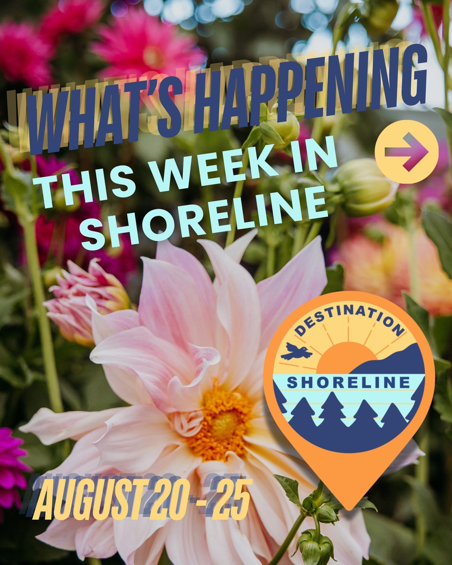 ☀️ What&rsquo;s Happening This Week in Shoreline | August 20 - 25 ☀️

There&rsquo;s another great week ahead in Shoreline! We&rsquo;re highlighting a few must-attend events, including the Ridgecrest Art Walk on Thursday, a perfect evening to explore 