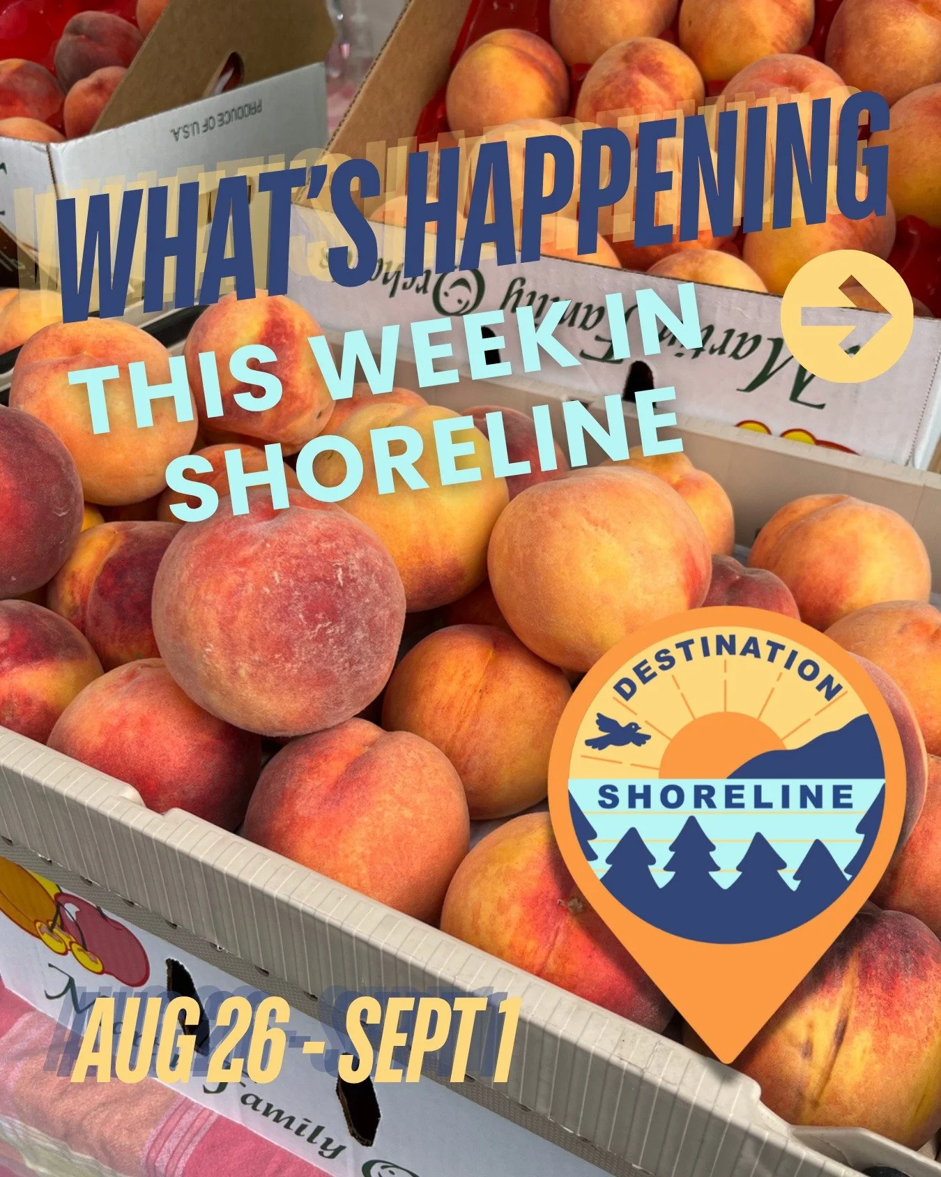 ☀️ What&rsquo;s Happening This Week in Shoreline | Aug 26 - Sept 1 ☀️

The last weekend of August is here, with just a hint of fall on the horizon, but there&rsquo;s still plenty of summer fun ahead. Catch two nights of garage punk at Darrell&rsquo;s