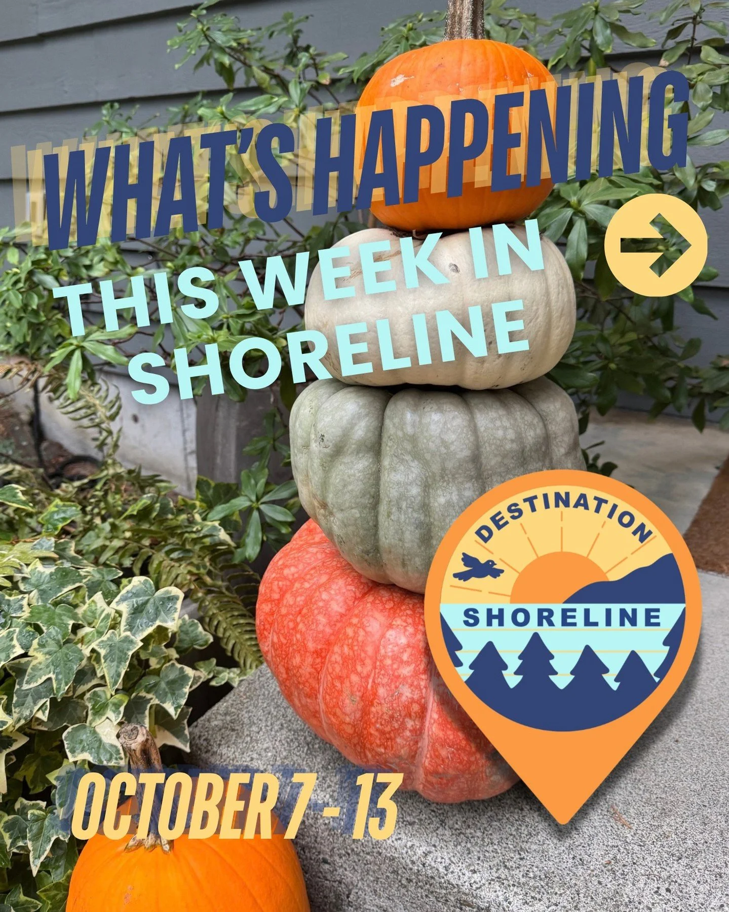 What&rsquo;s Happening This Week in Shoreline | October 7 - 13 🎃 

October is in full swing, and there&rsquo;s a lot happening around Shoreline this week! 🍂 Give back to our community through the October Shoreline Food Drive, stock up for fall plan