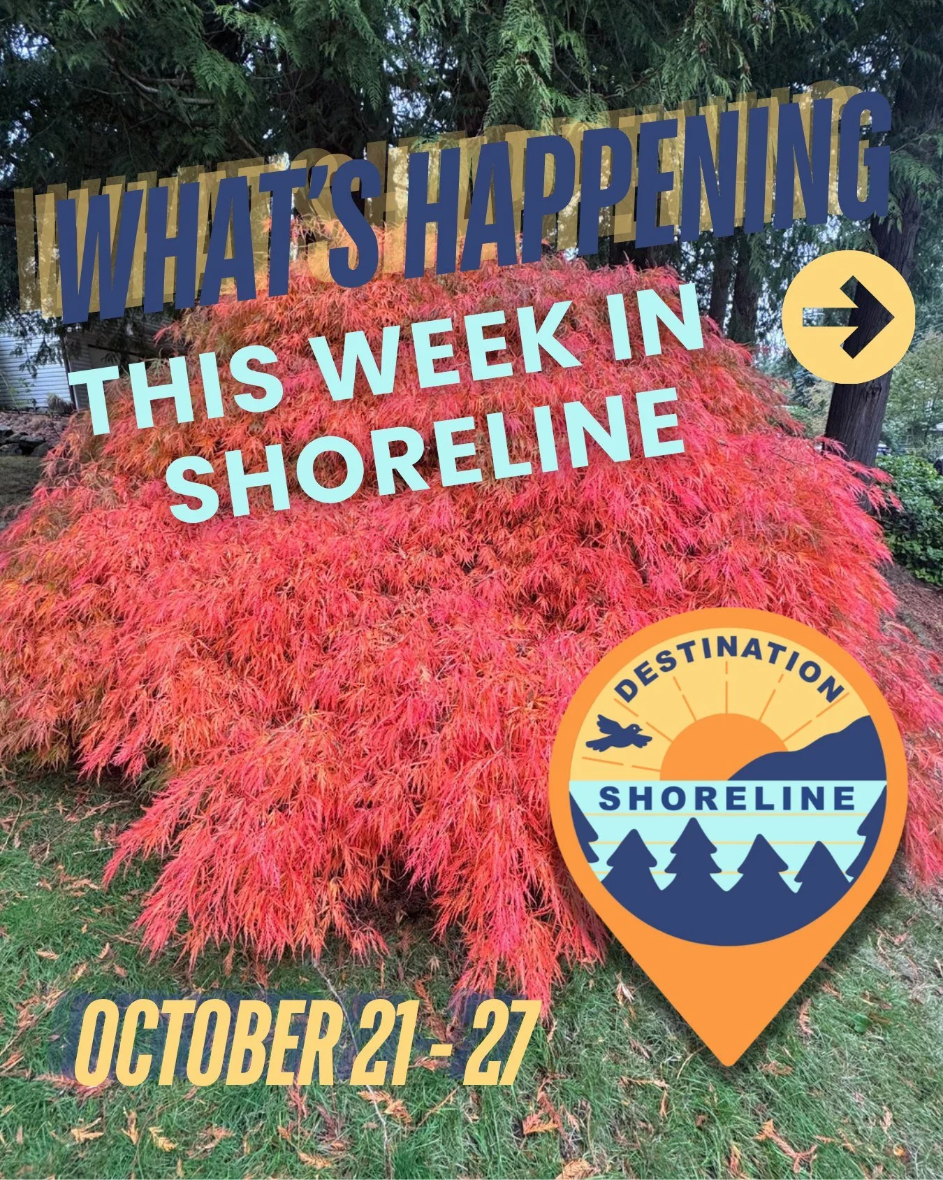 What&rsquo;s Happening This Week in Shoreline | October 21 - 27 🍫🎃 

Chocolate, Monsters, and Candy, Oh My! 🍂🎃 Saturday in Shoreline is bursting with fun from the Ridgecrest Halloween Parade and the first annual Shoreline Chocolate Festival to th