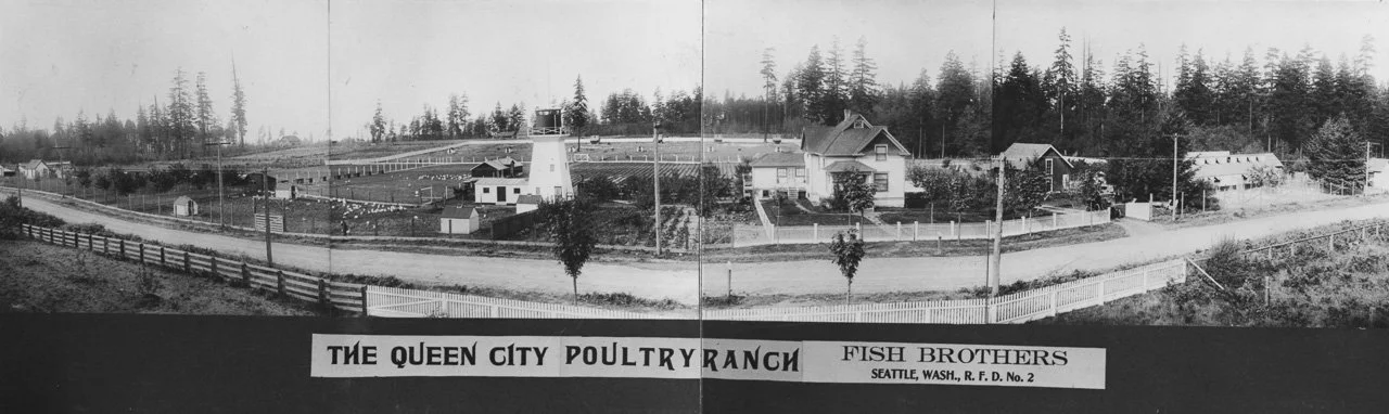 1907. Queen City Poultry Ranch at 160th Street and Greenwood Avenue, owned by the Fish brothers.