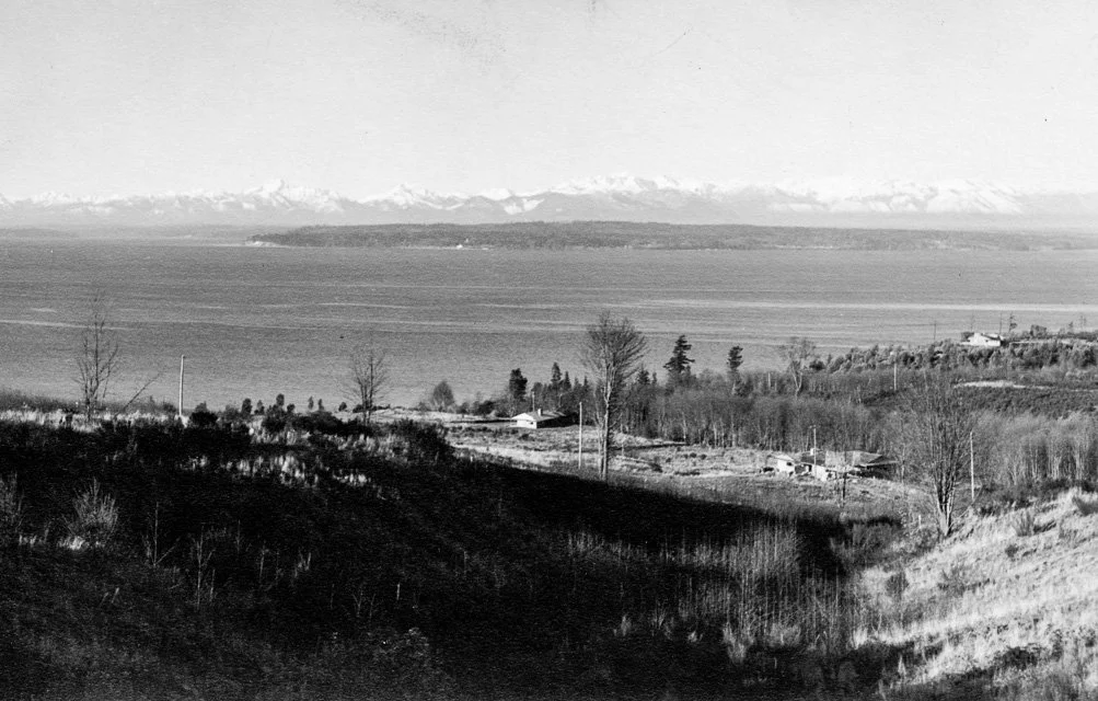 1940s. View of Puget Sound and the Olympics taken from Innis Arden. Photograph taken by and donated by Herb Haines.