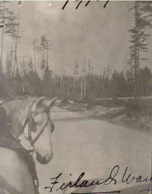 1914. Rogers Store grocery wagon horse, Richmond Highlands. Horse pulling grocery wagon on the paved brick Firlands Way from E.E. Rogers store. Photo donated by Anina (Coder) Sill, Richmond Beach Library.