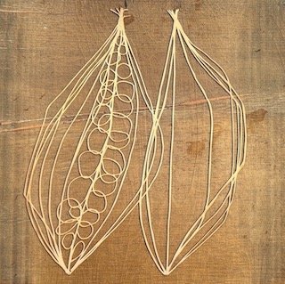 "Milkweed Pod #2 ". Laser cut woodblock.