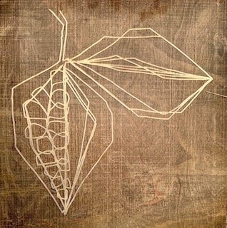 " Milkweed Pod #1 ". Laser cut woodblock.