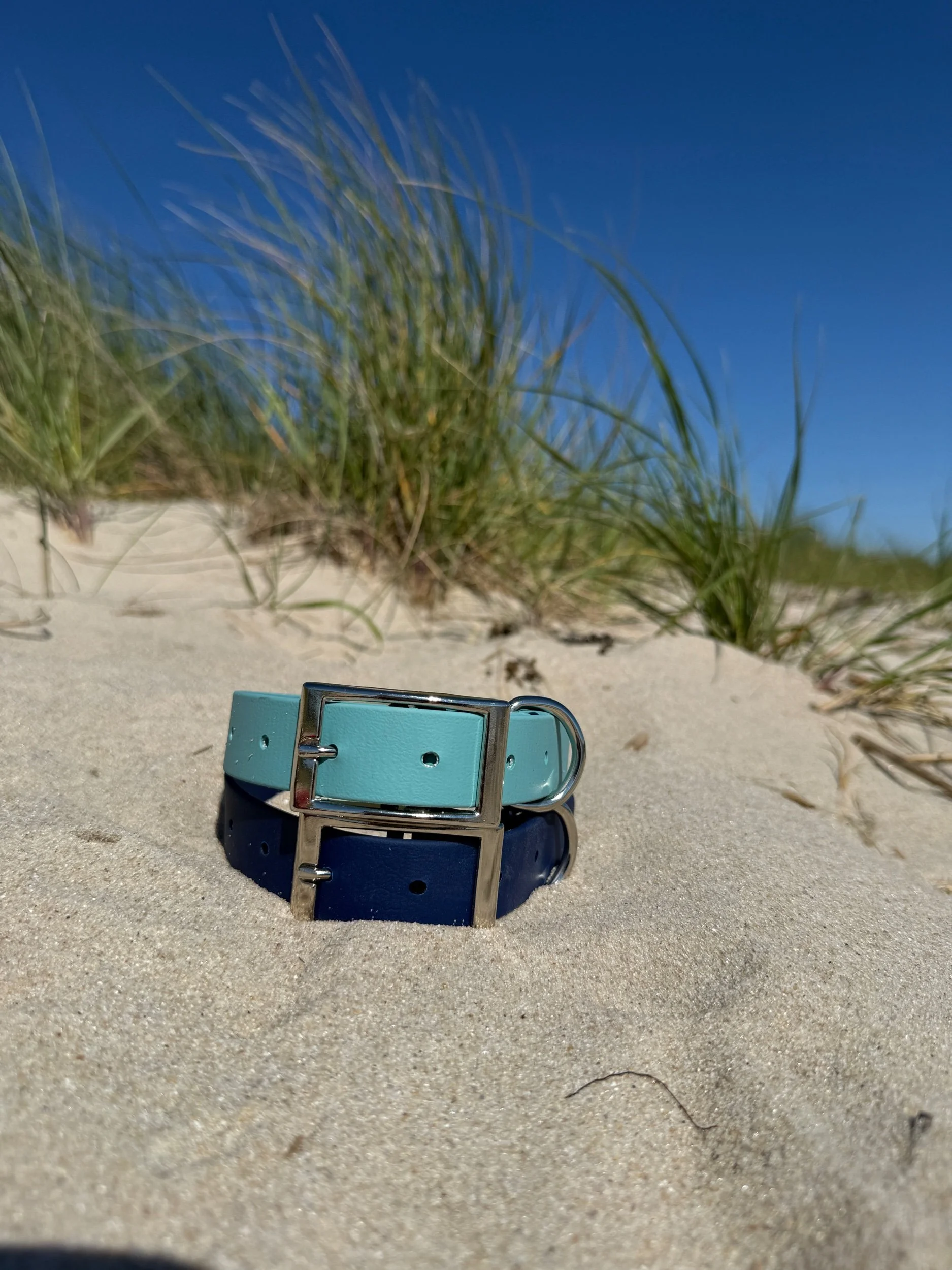 Light Blue Biothane Collar