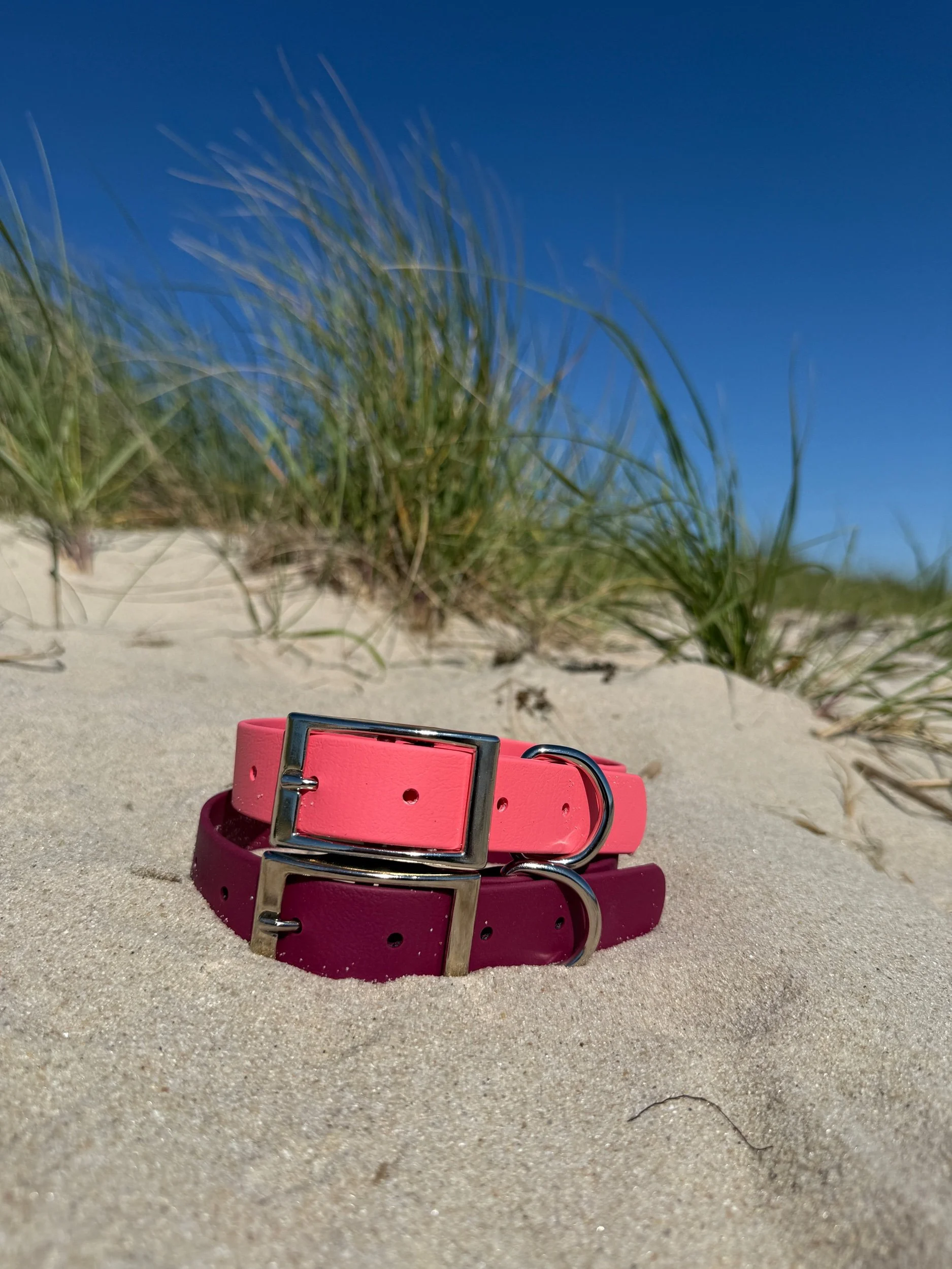 Pink Biothane Collar