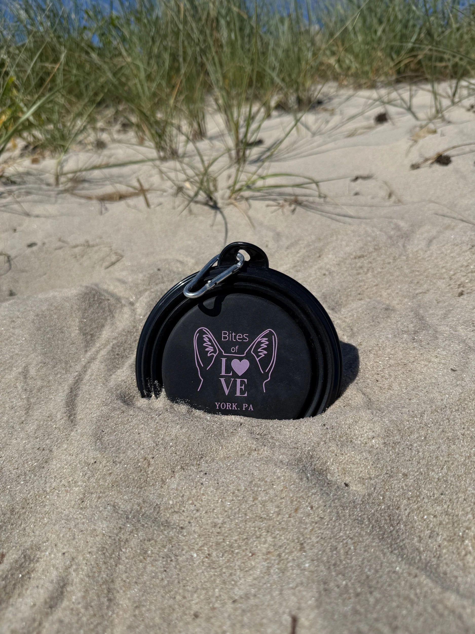 Collapsable dog bowl