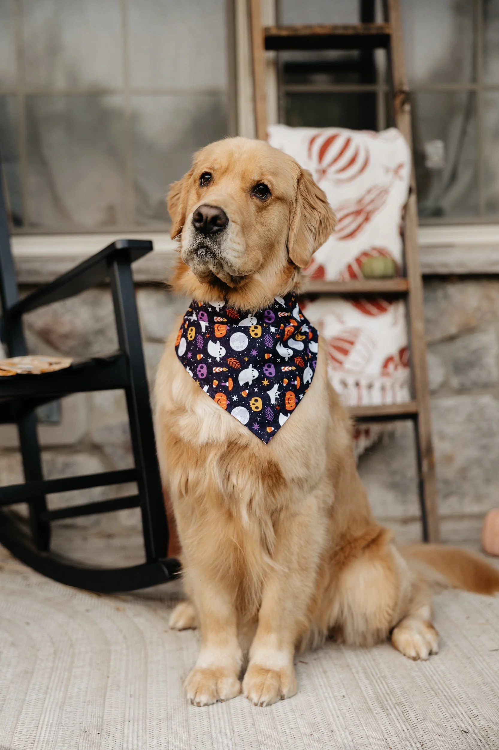 Purple Spooky Halloween Dog Bandana
