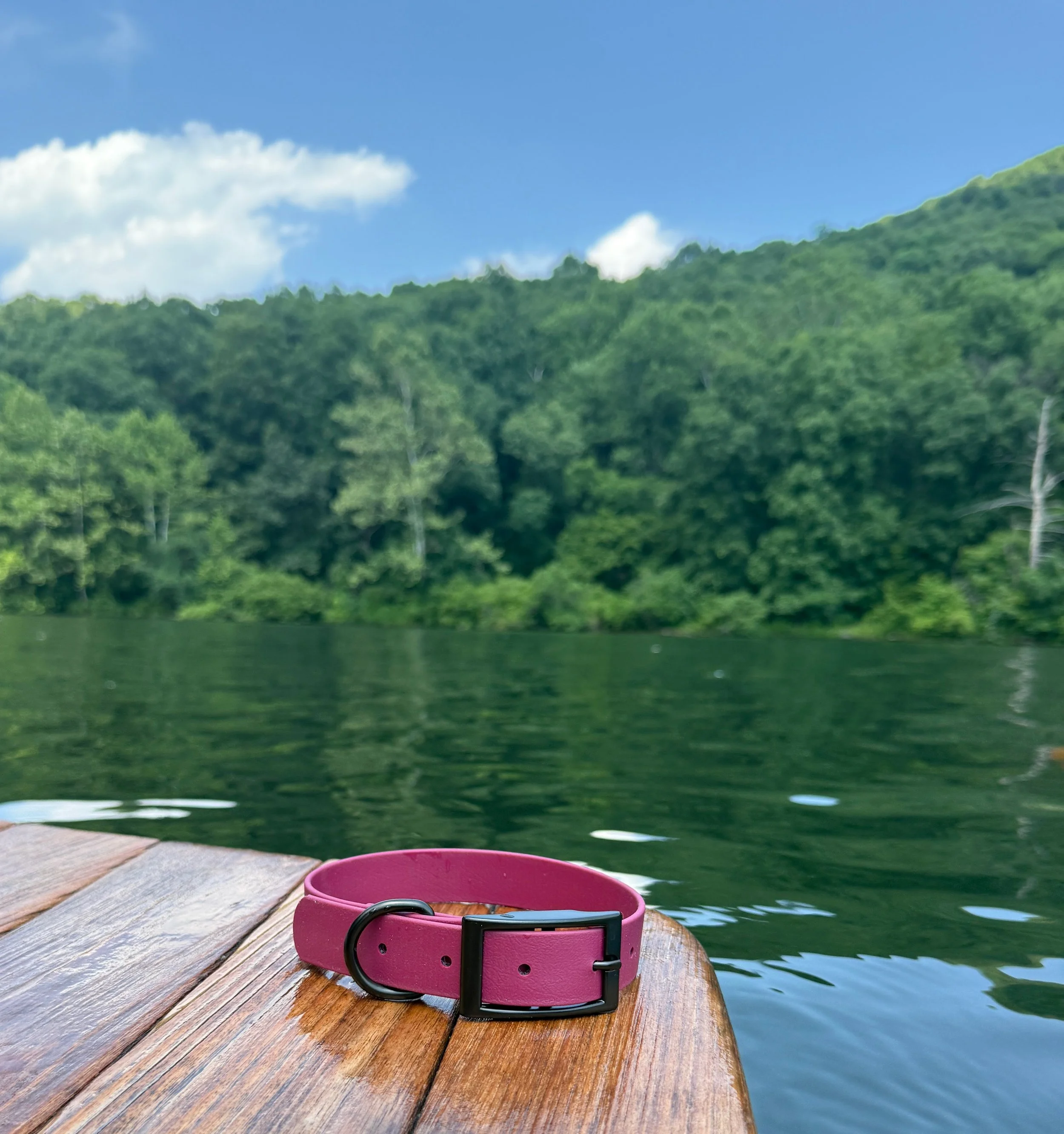 Maroon Biothane Dog Collar
