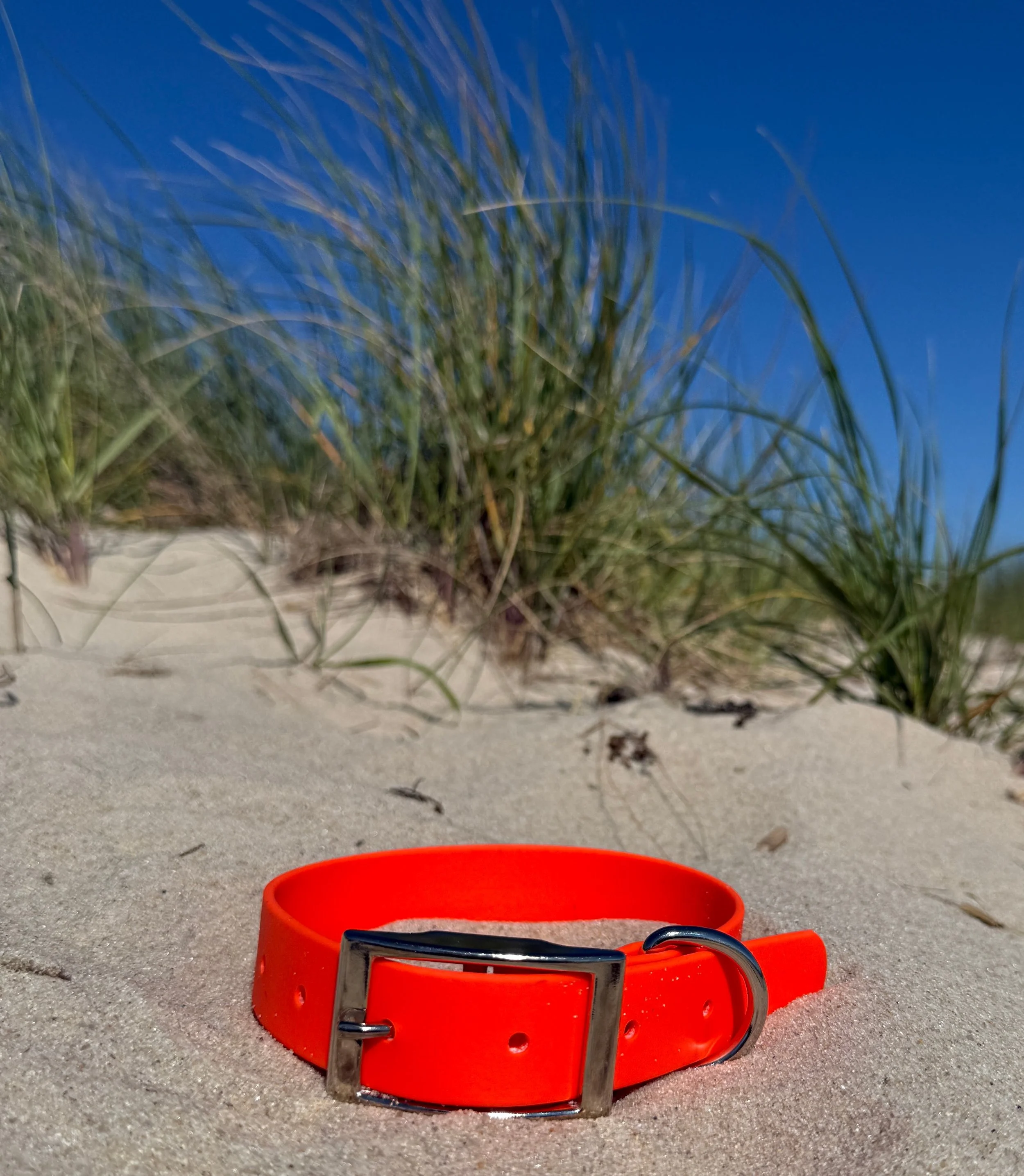 Orange Biothane Dog Collar