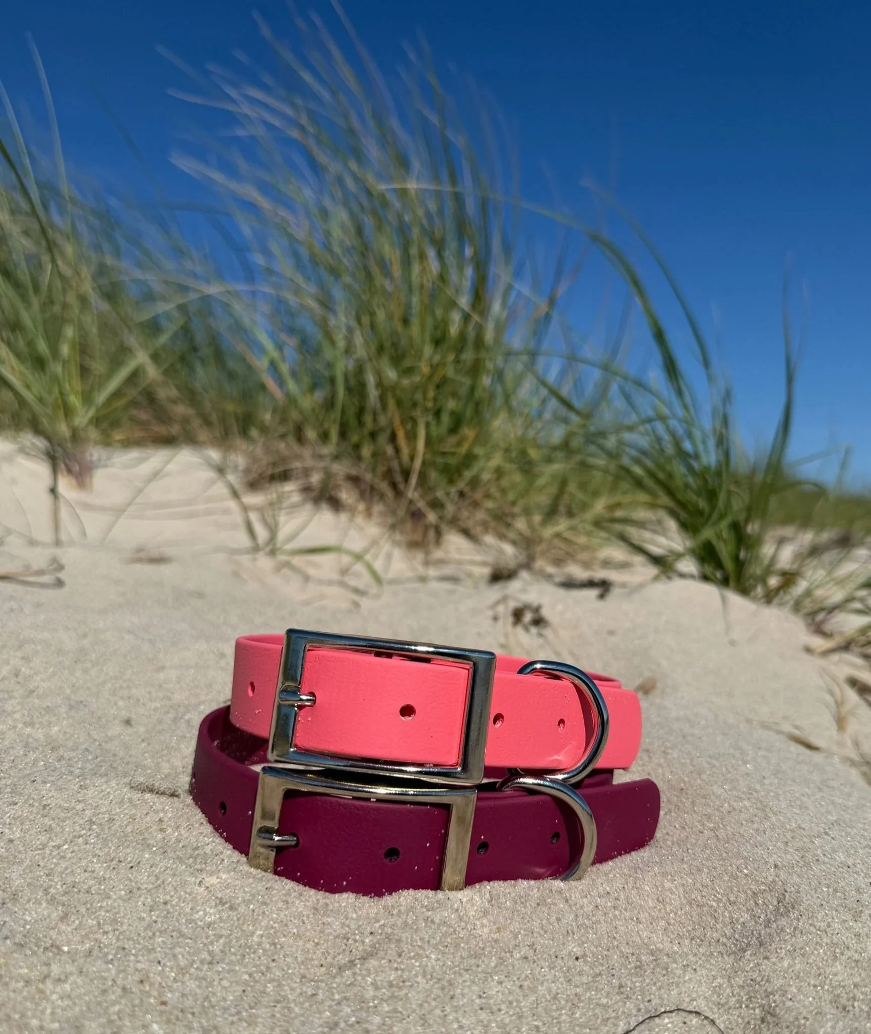 Pink Biothane Collar
