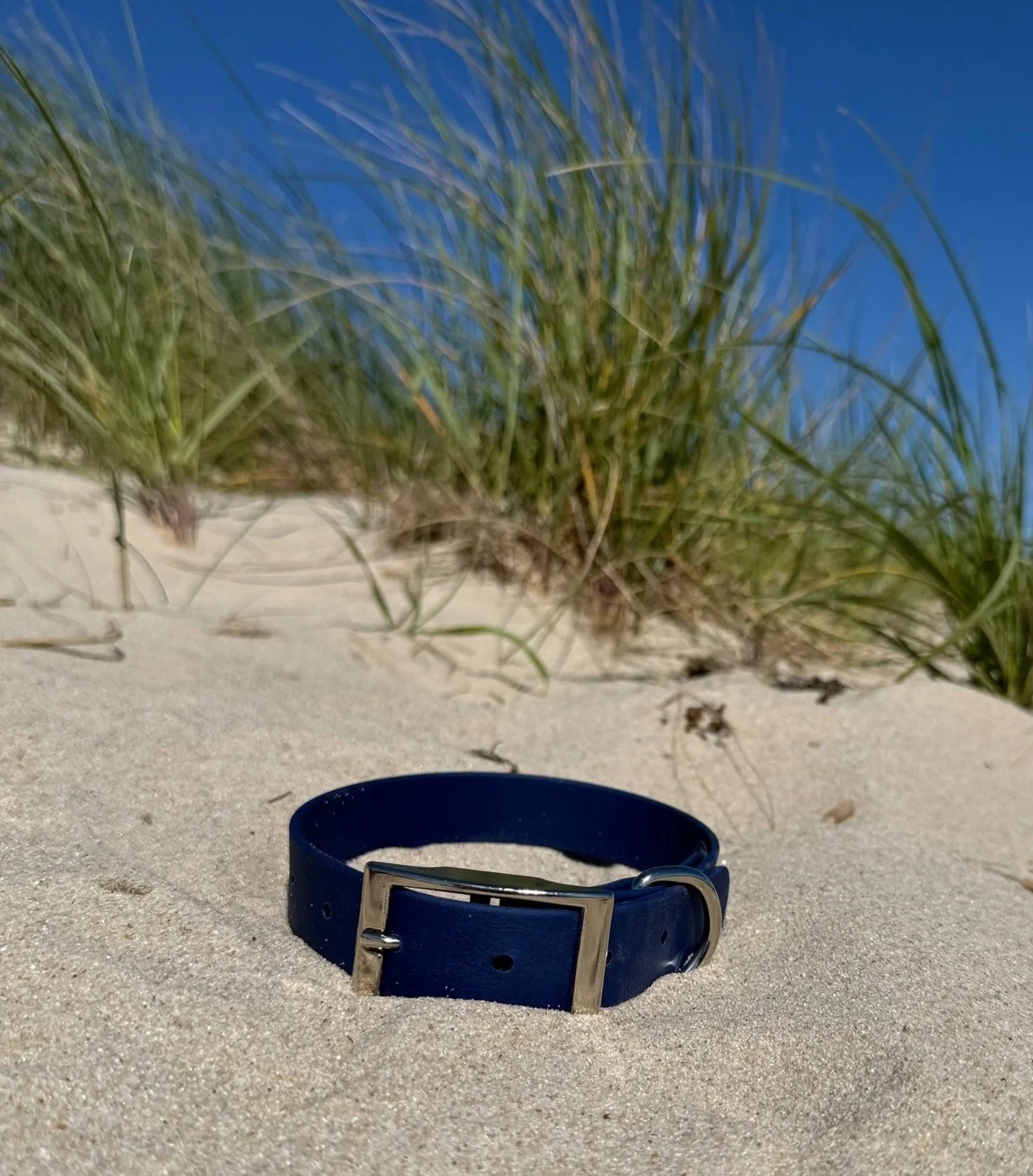 Dark Blue Biothane Collar