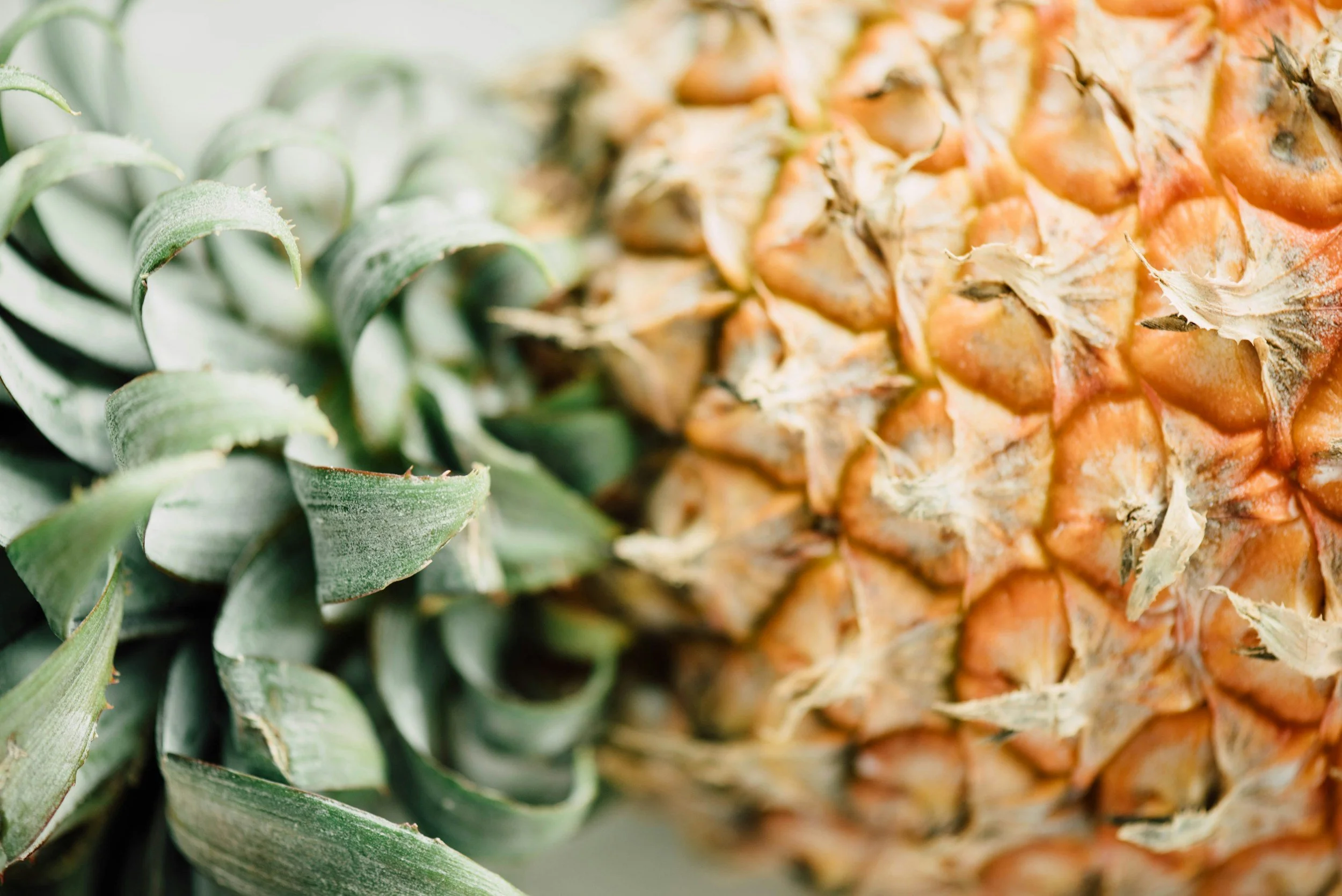 unsplash-image-5bdKZLqeySU.jpg