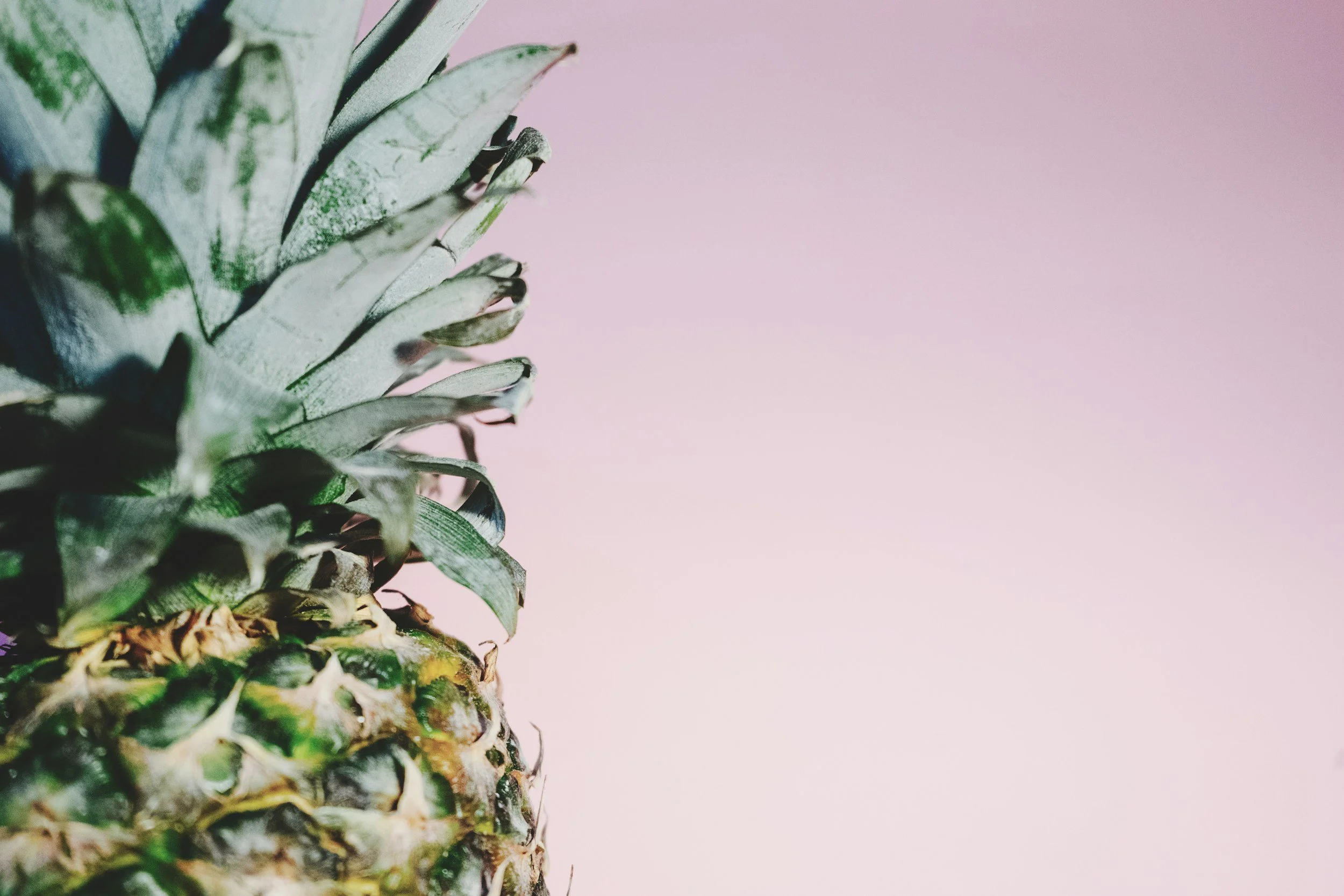 unsplash-image-rdJLfbcXUvg.jpg