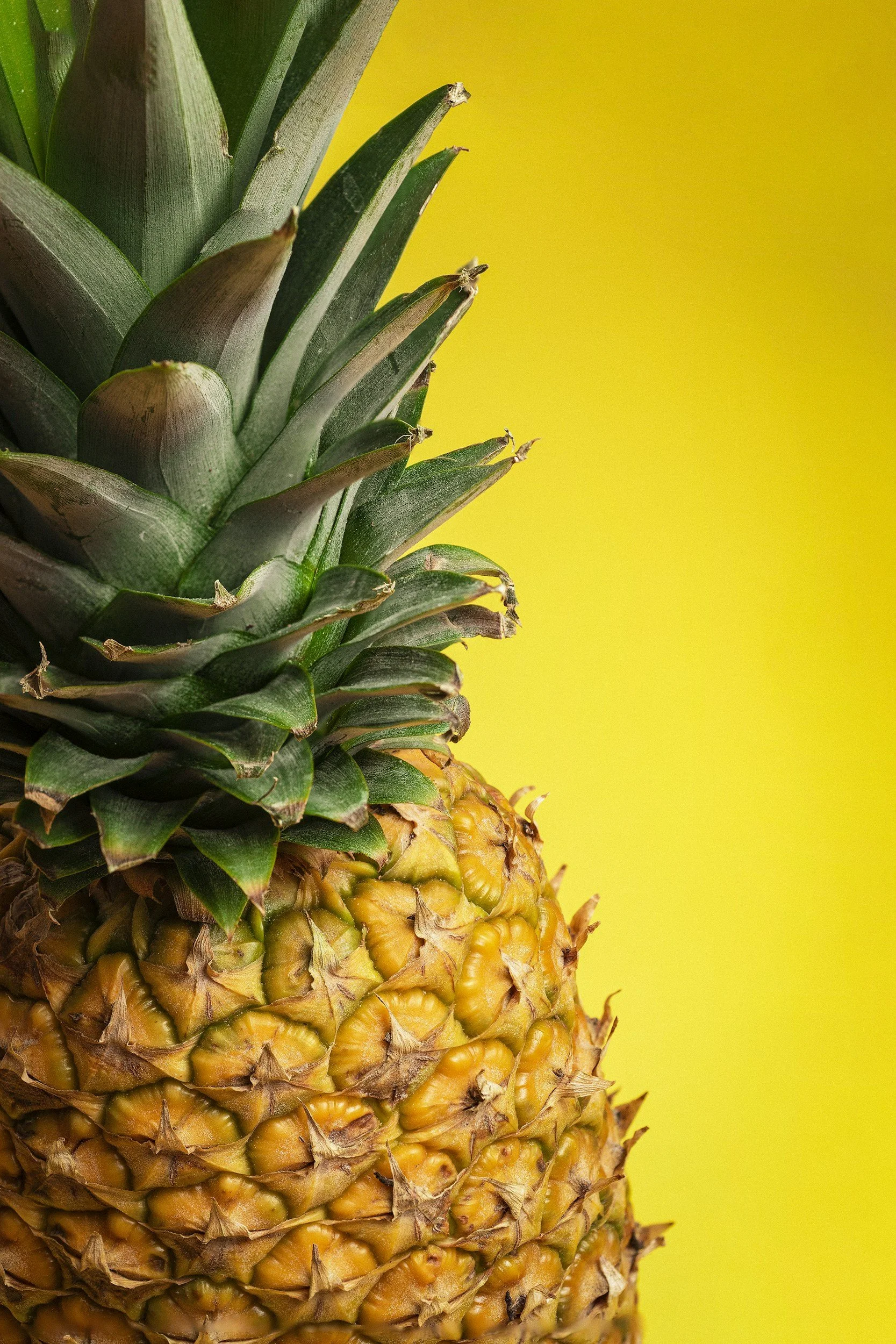 unsplash-image-LA1COkpEYxI.jpg