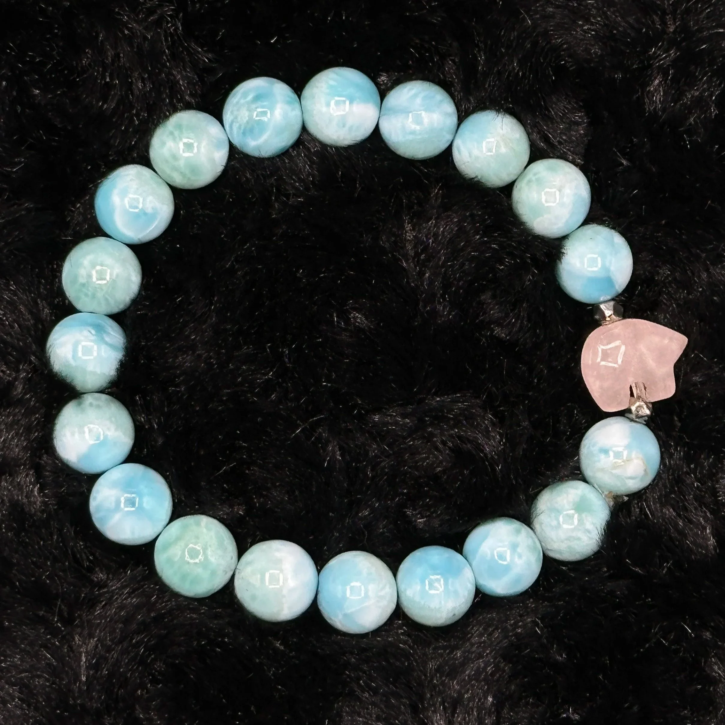 The Bear that Taught the Ocean to Speak