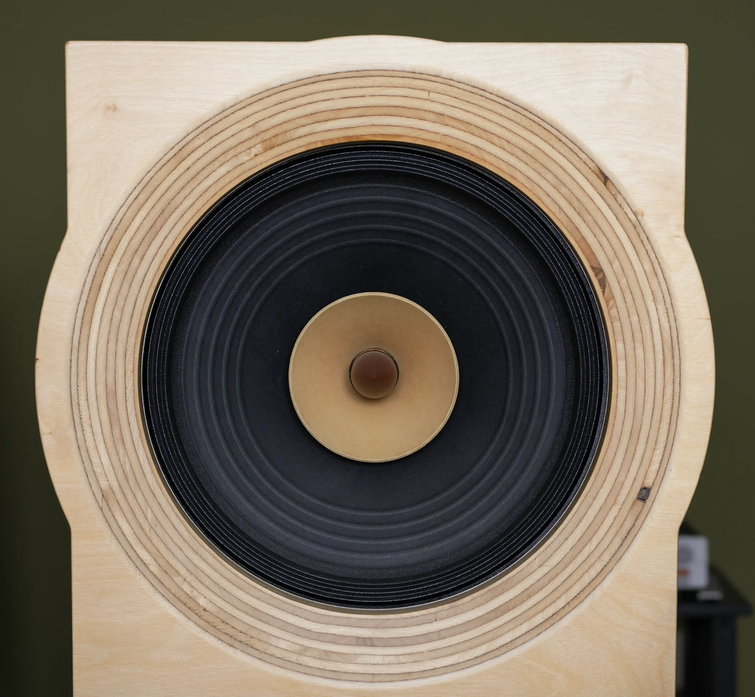 Close-up of the 15-inch wideband driver in a Maco Macarias loudspeaker, surrounded by the exposed layers of its Baltic birch baffle.