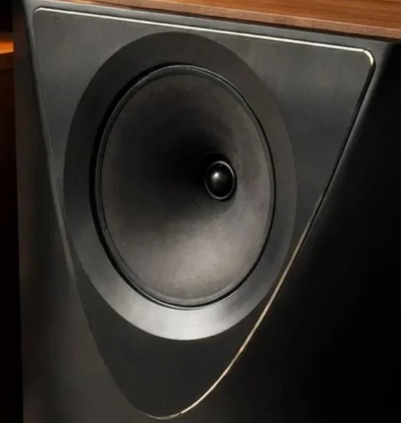 Closeup of the Troubadour tweeter/midrange.