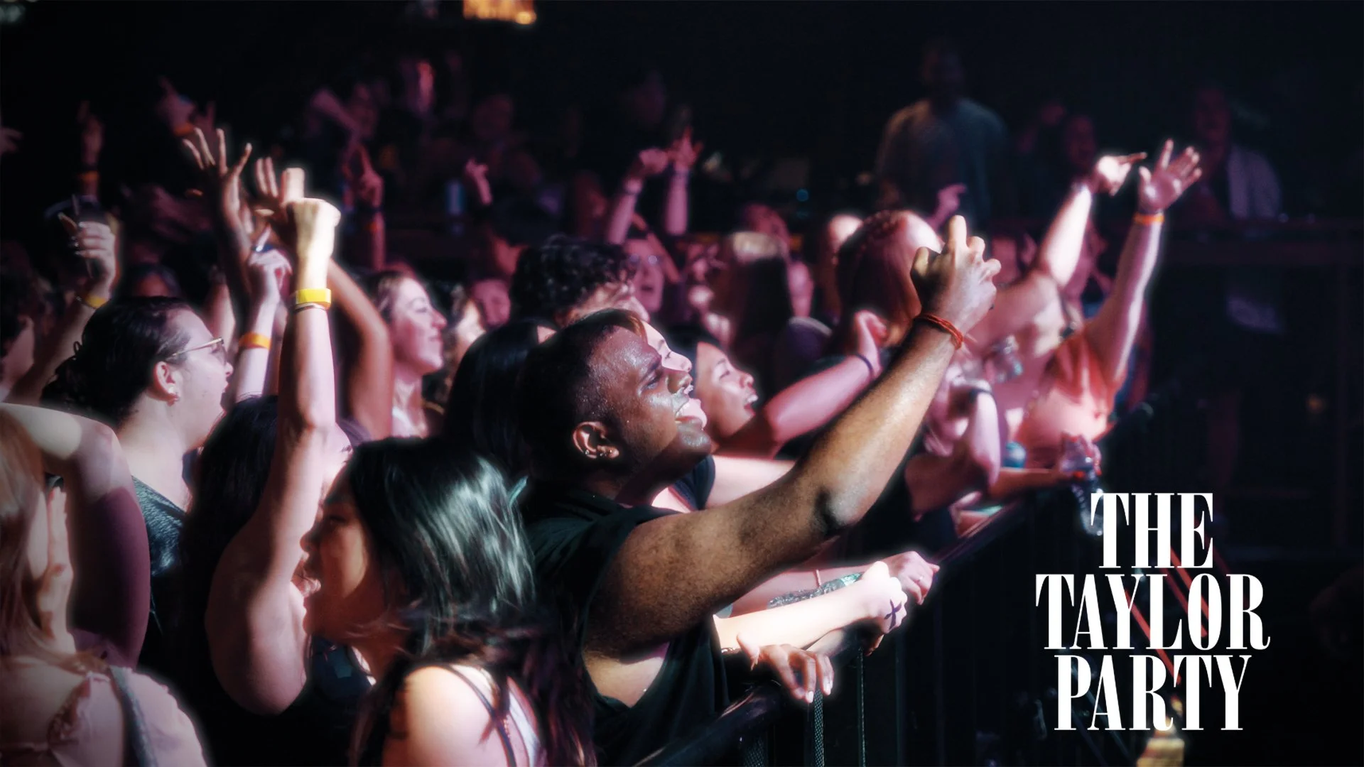 THE TAYLOR PARTY - BIG NIGHT LIVE