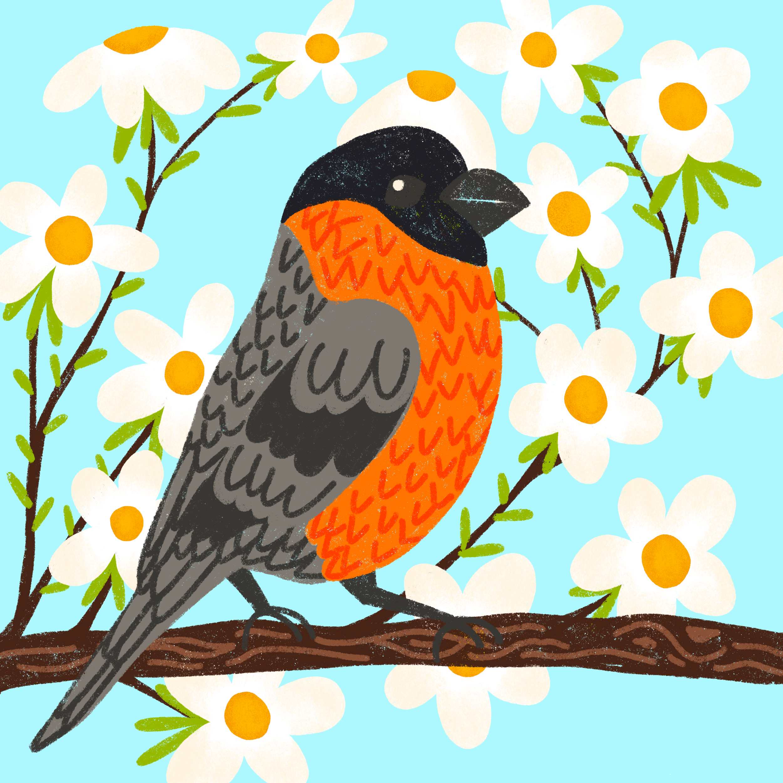 Bull_Finch_Flat_-_Flower_layers_.png