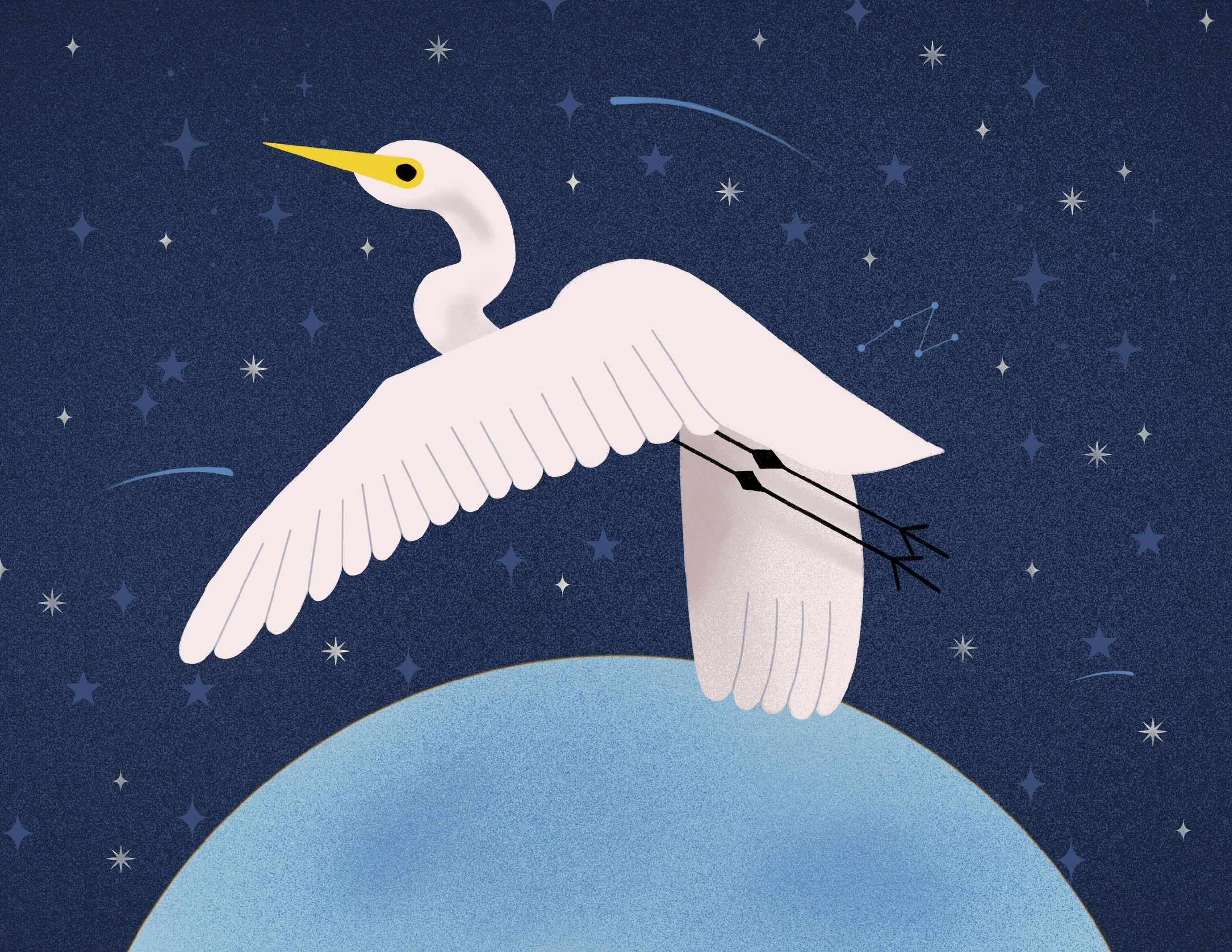 Snowy_Egret_Starry_Night.jpg