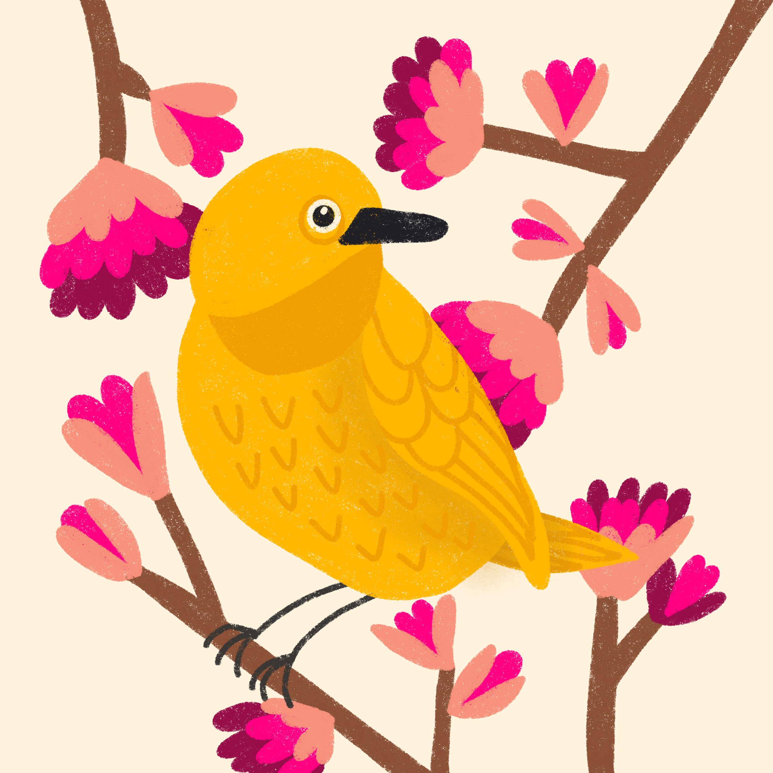 birdy2.png
