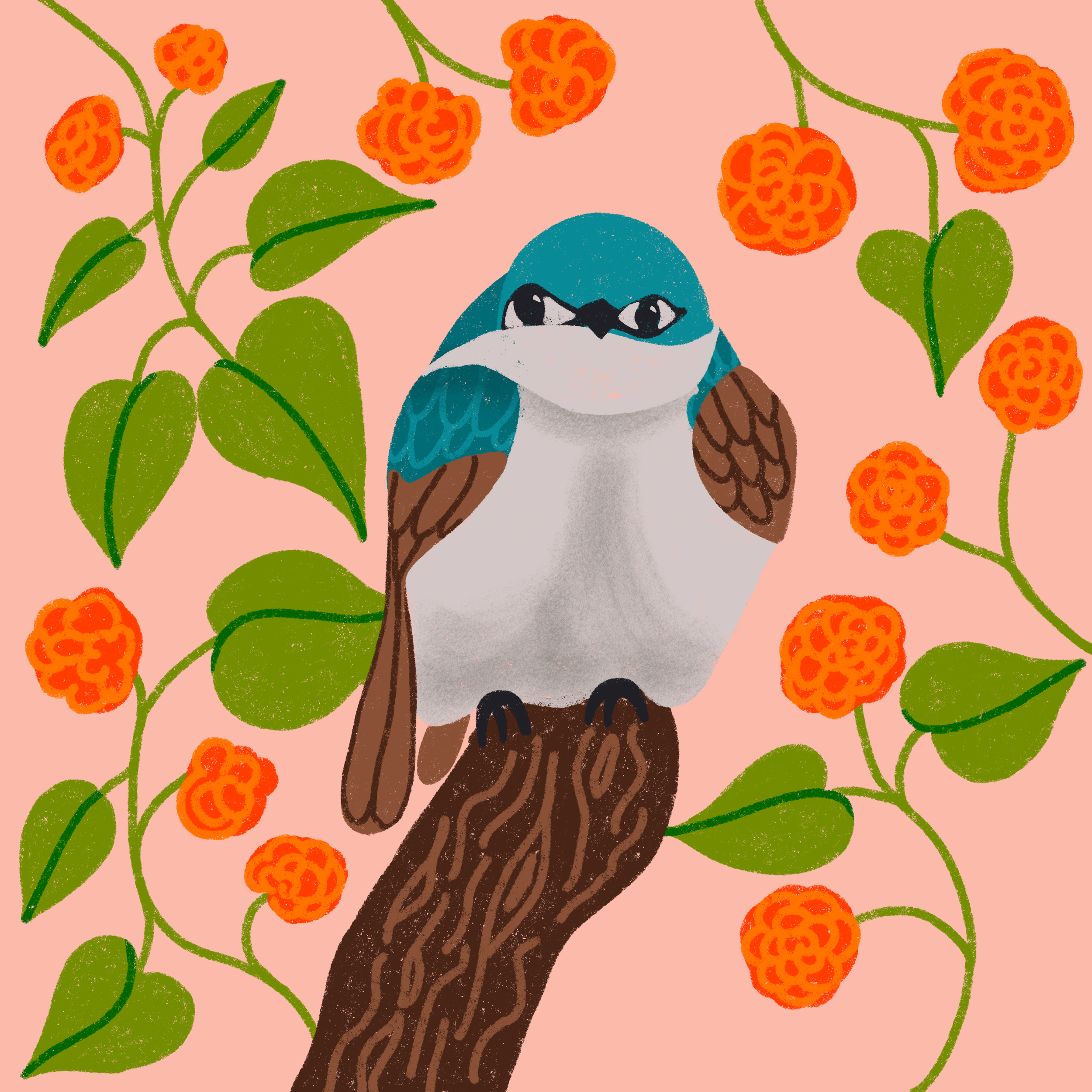 birdy3.png
