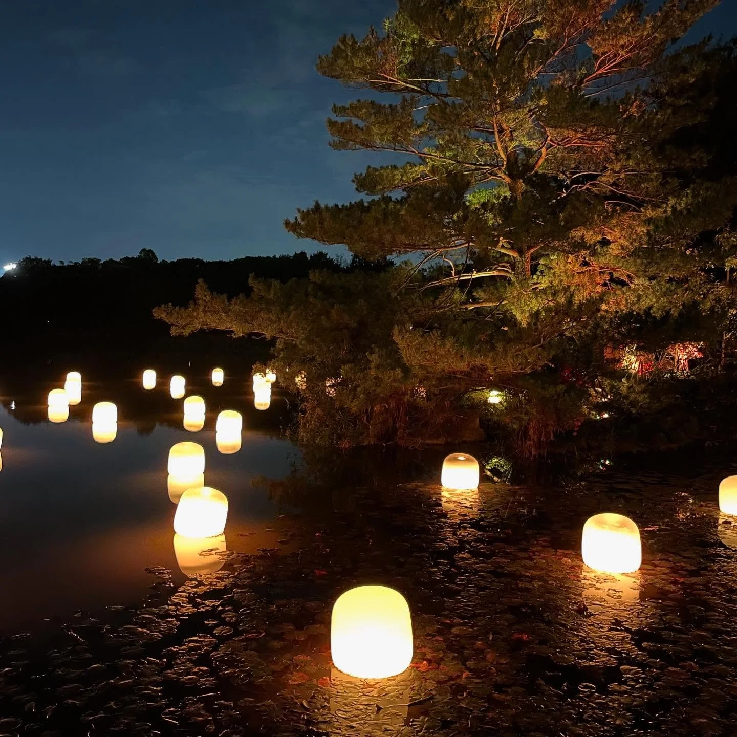 Sidste stop i Japan i Osaka🇯🇵🪭🎋🏮