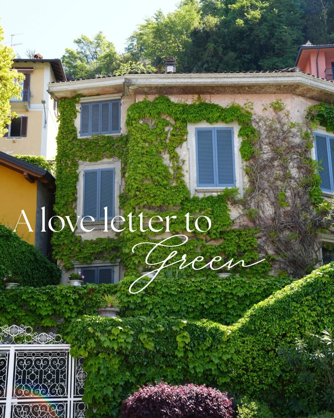 a love letter to green 💚