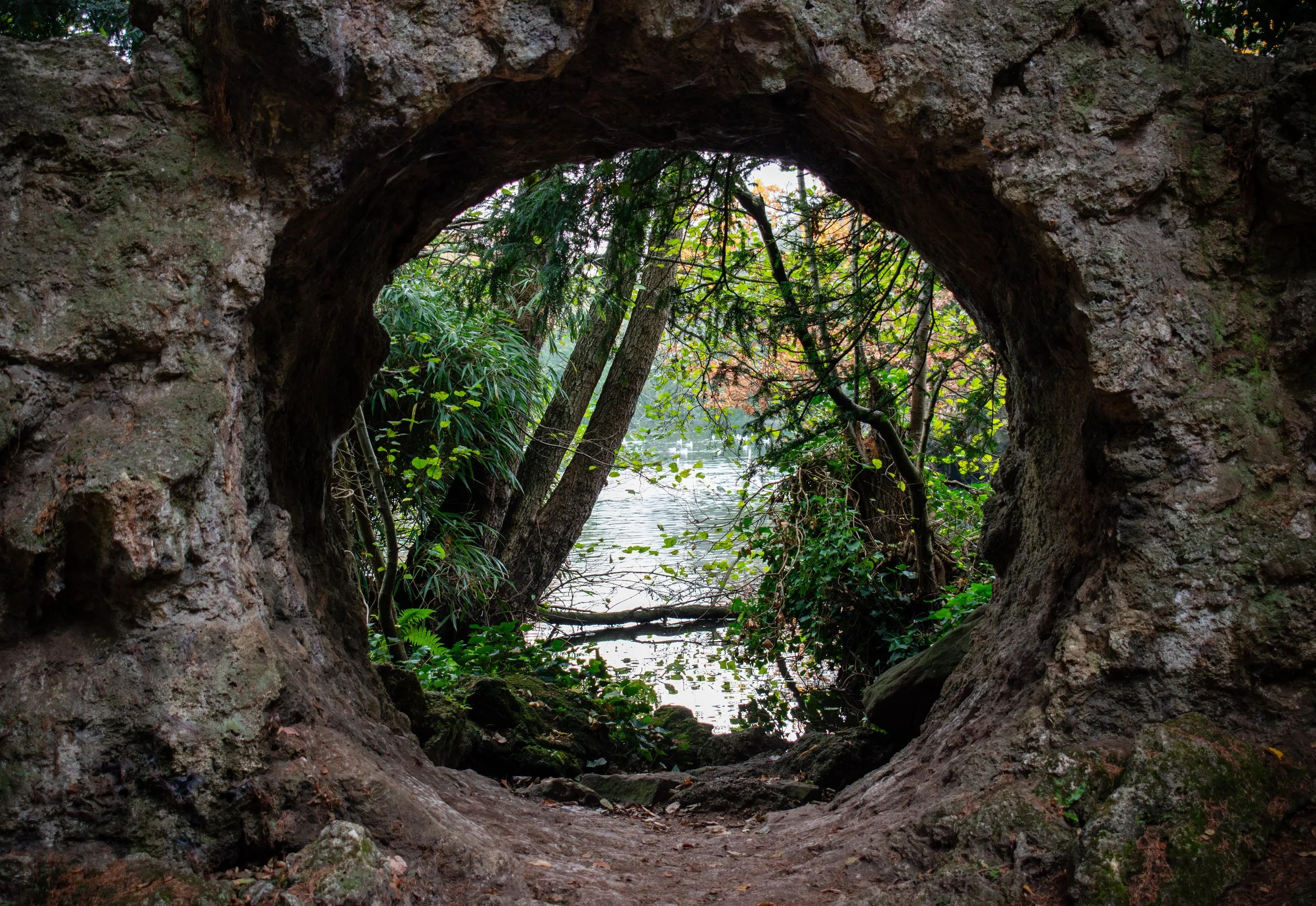 
"An Opening to Nature"