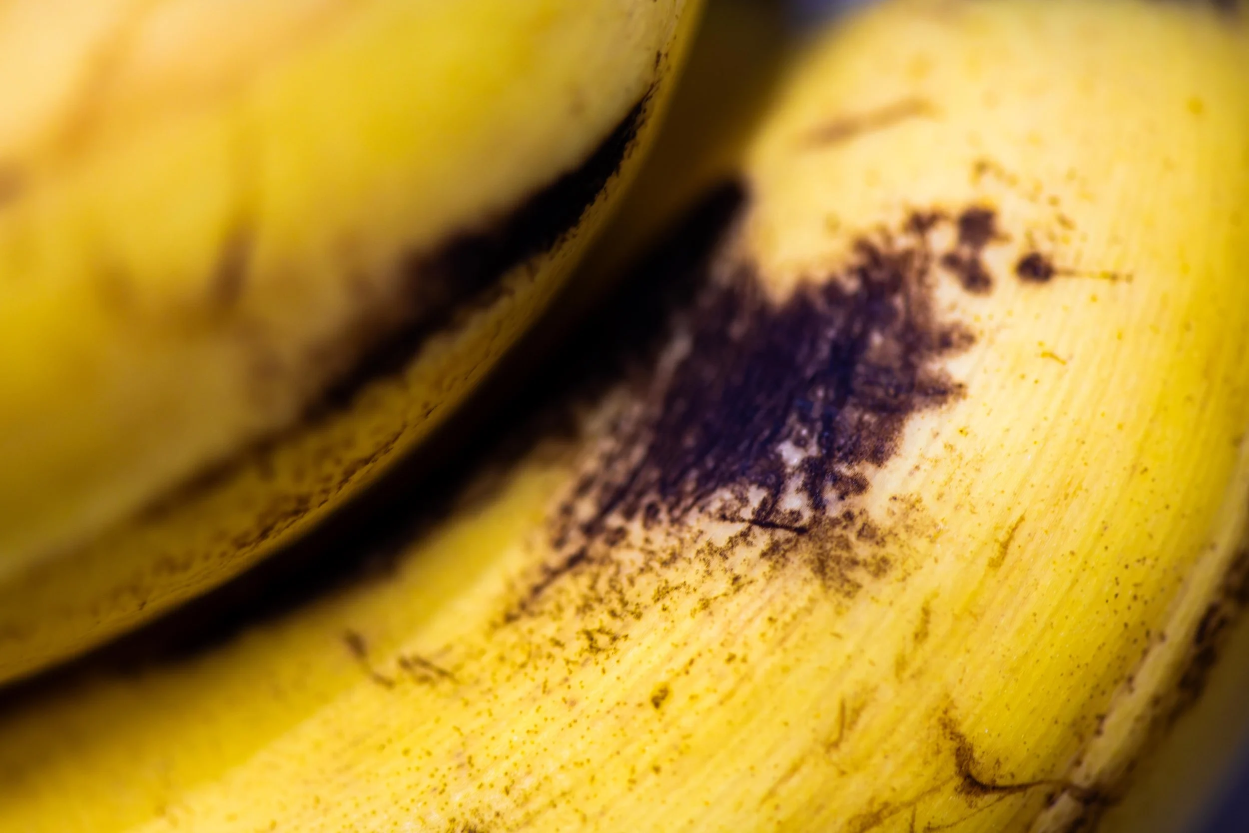 “Study in Yellow”