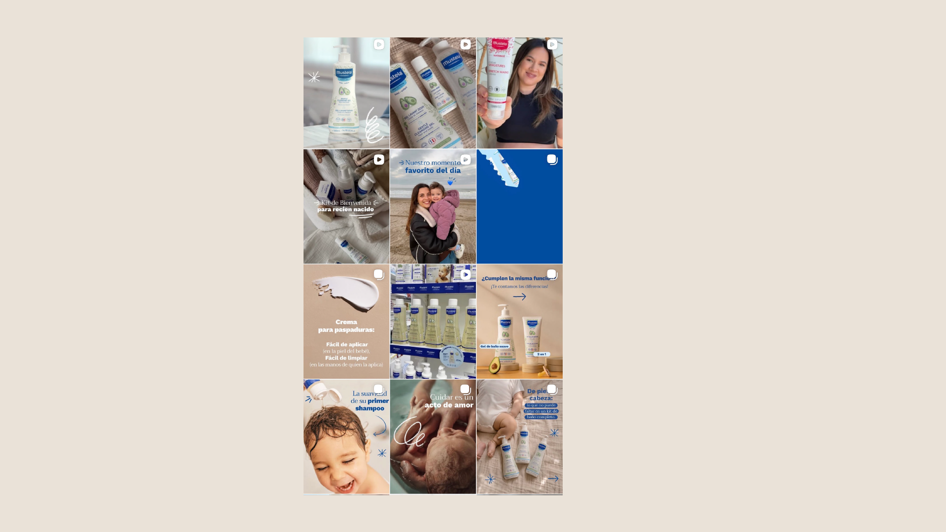mustela-08.png