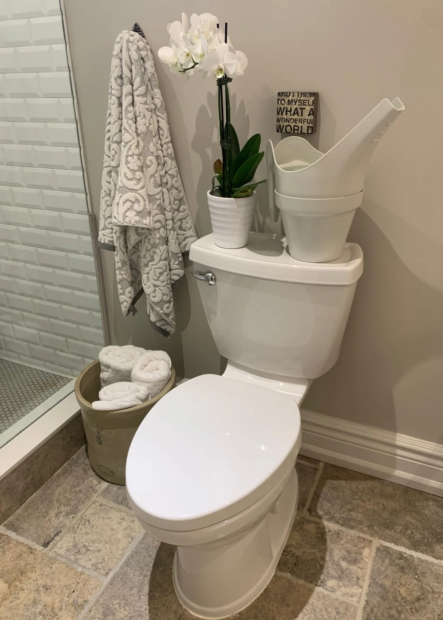 James Peter's invention of a water recycling toilet with using a residential water recycling bin