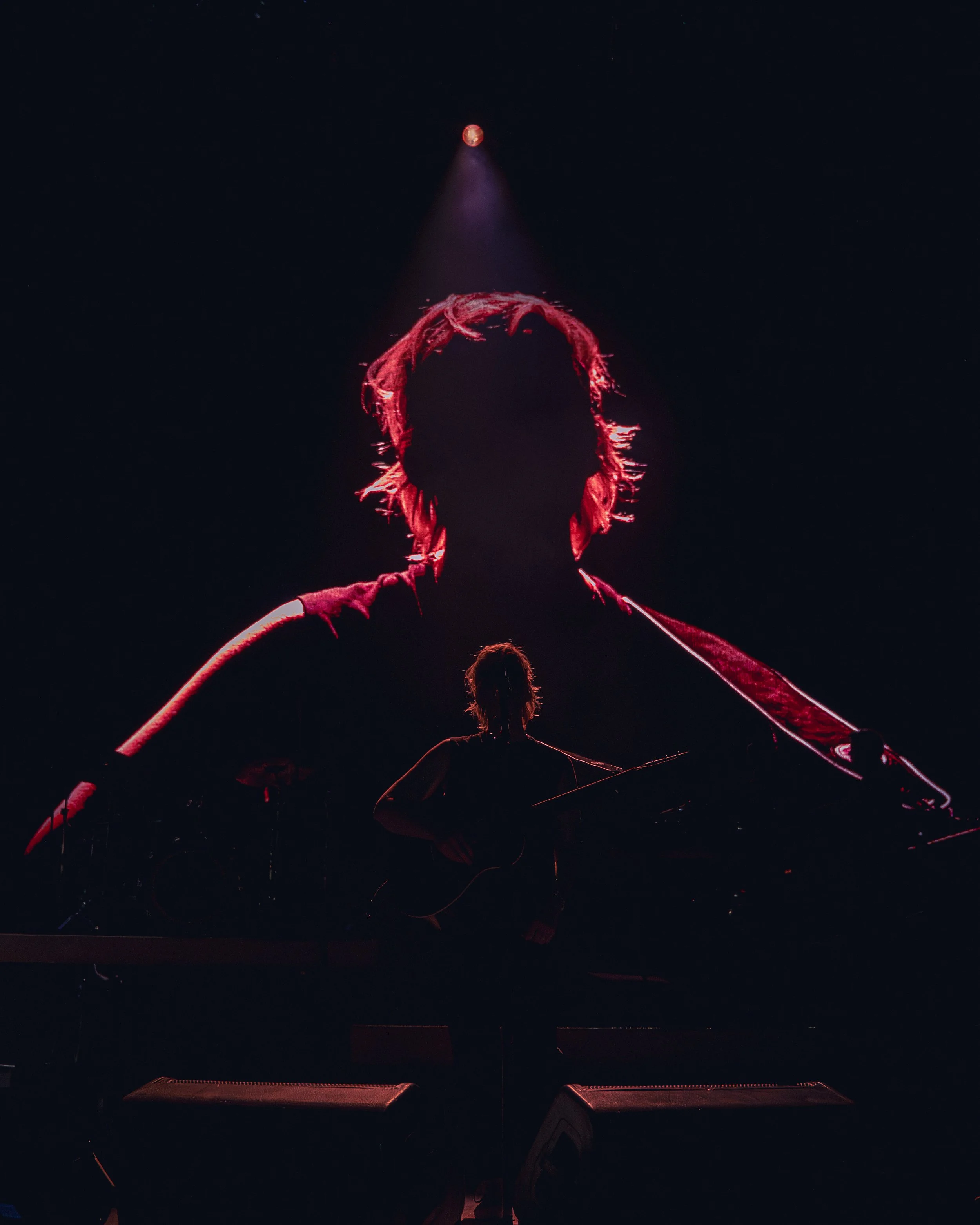 Brandi Carlile_Portland_Jen Horton-18.jpg