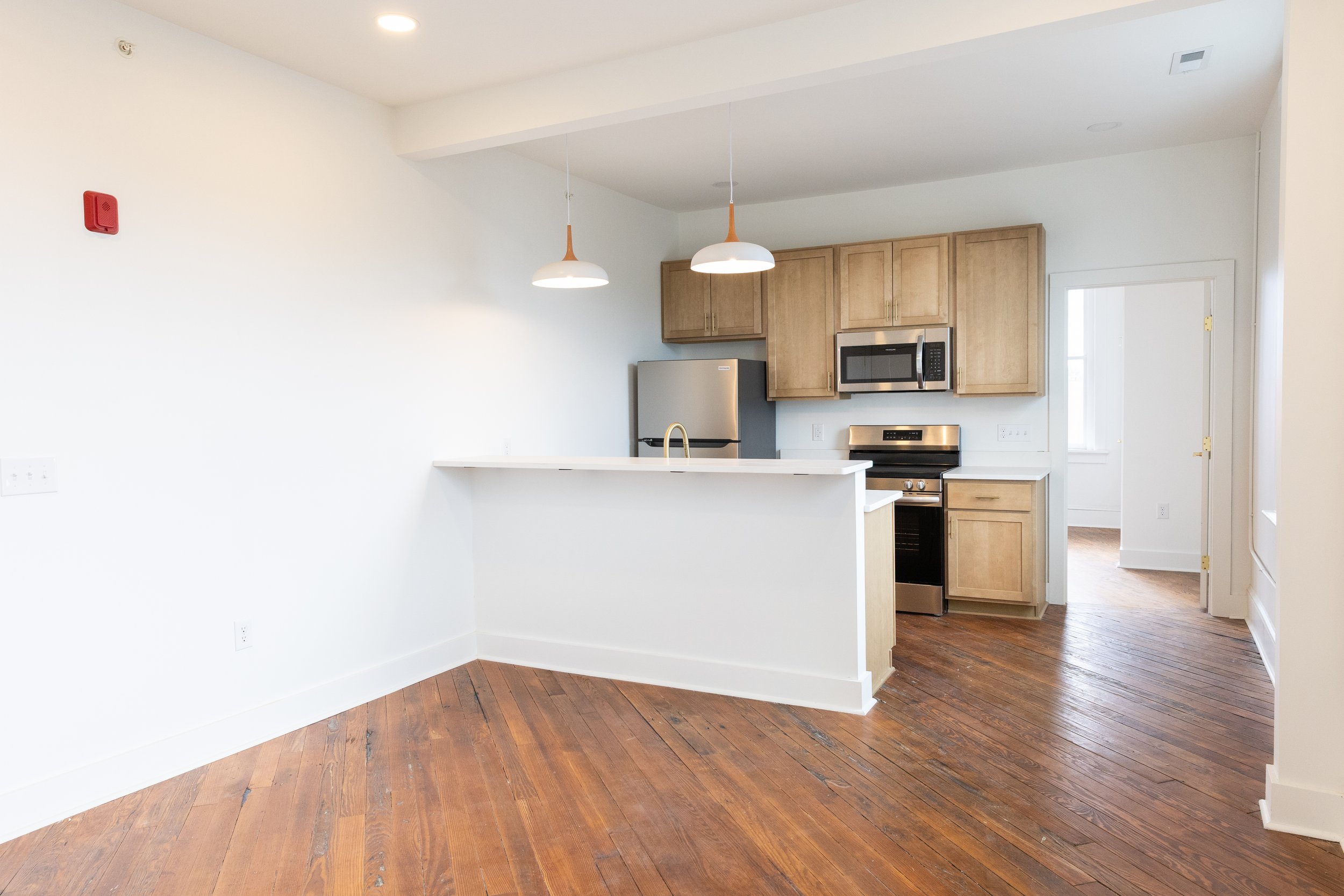 apartment living room and kitchen