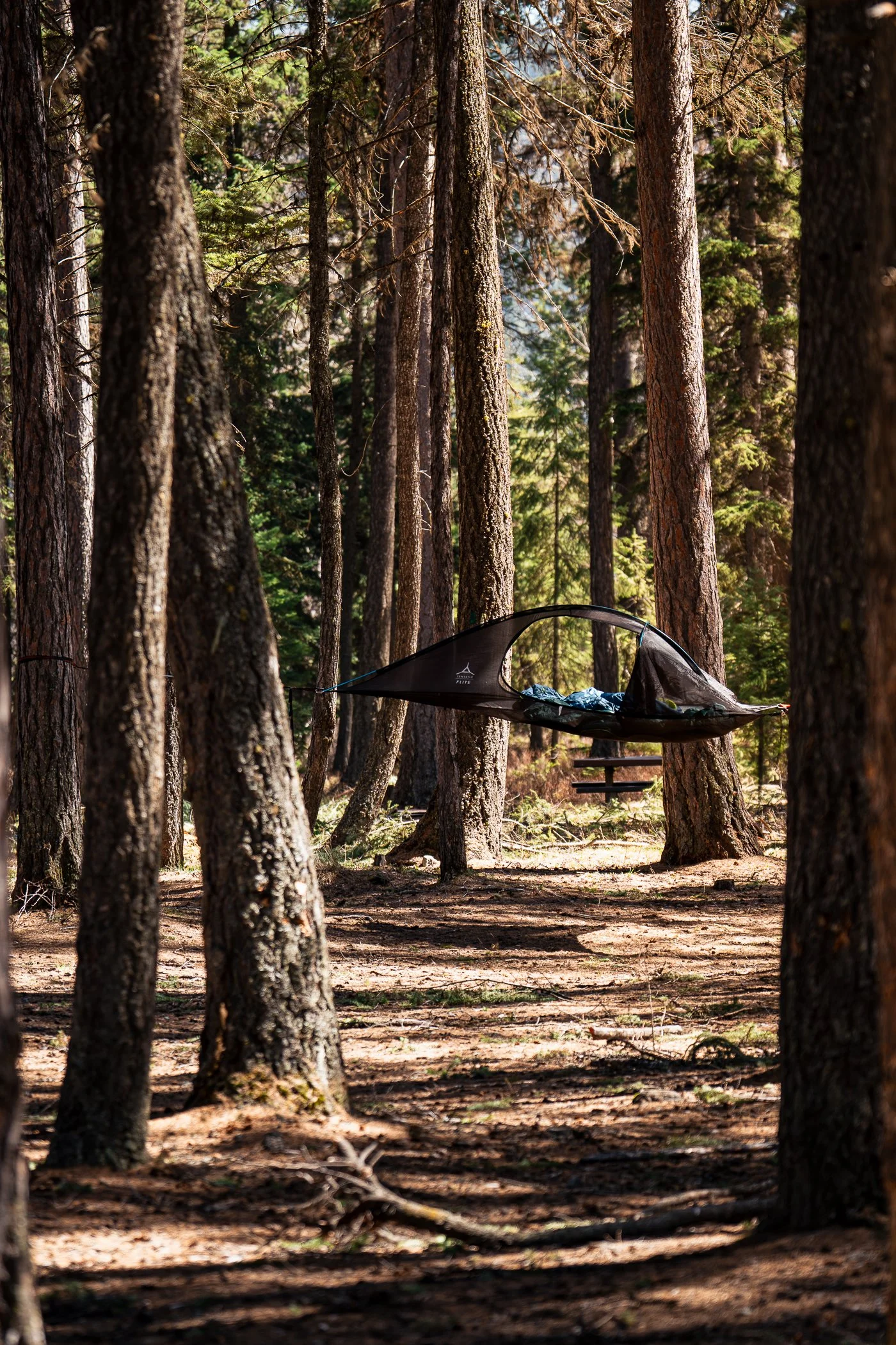 suspended tent in the woods by tentsile