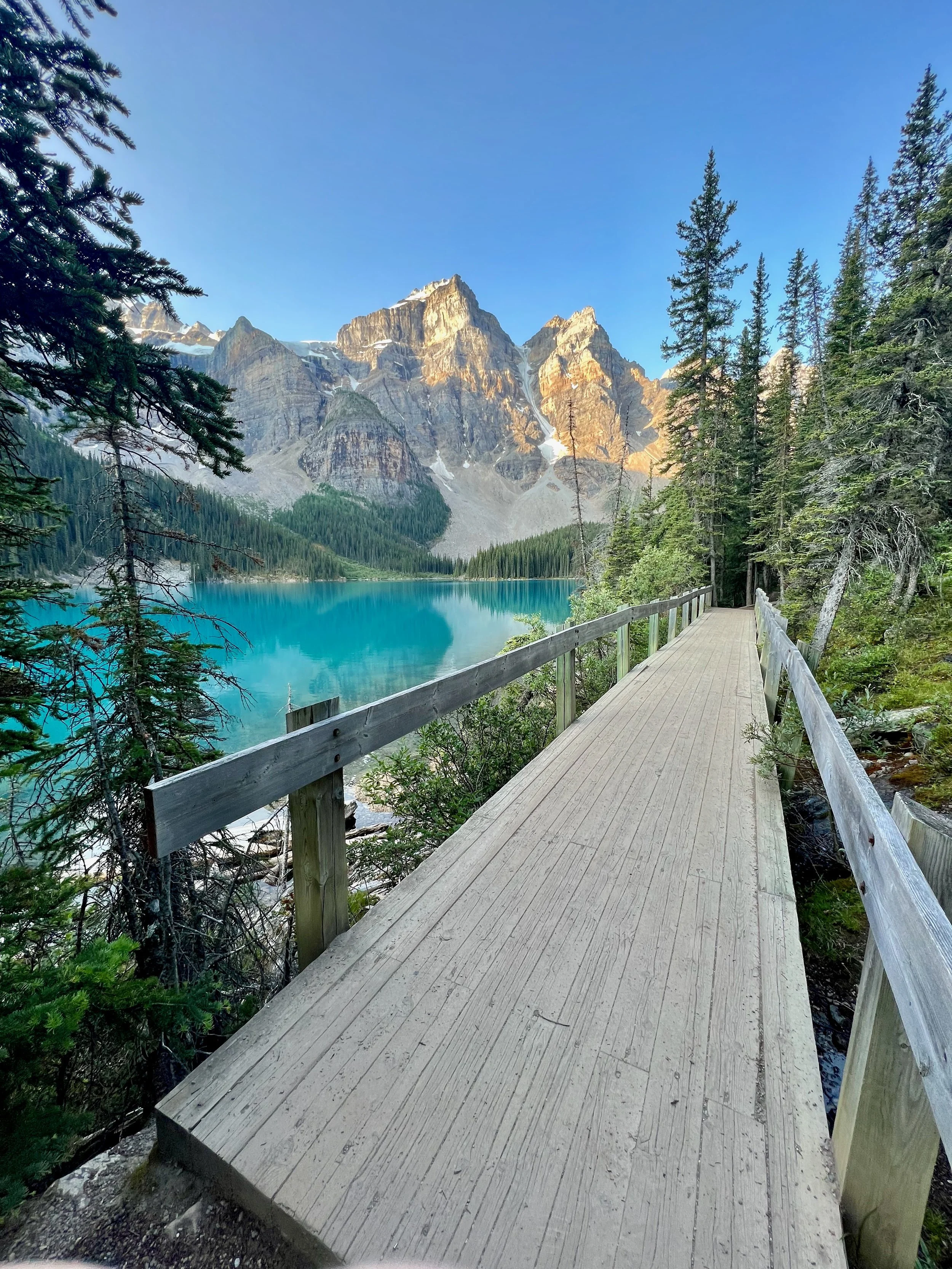 Moraine Lake from Shoreline Trail
