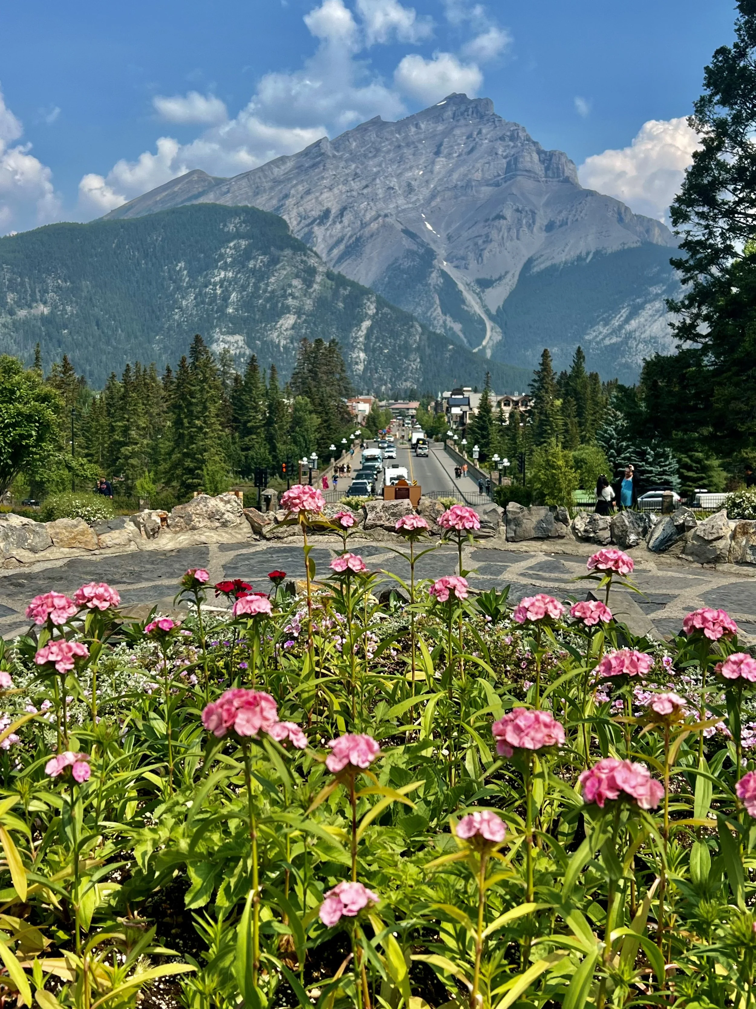 Cascade of Time Garden