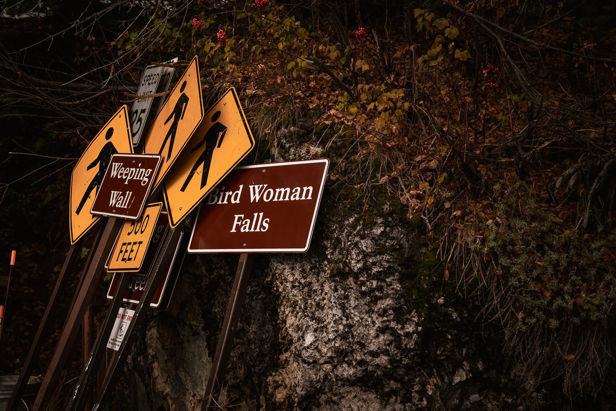Road signs from Going to the Sun Road