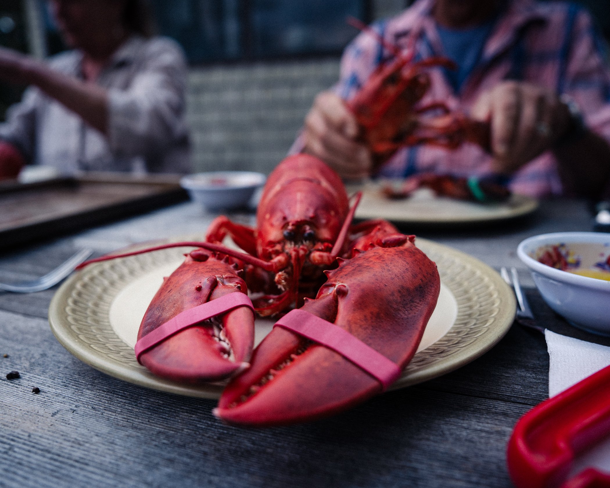 East-Coast-Lobster-Dinner-6.jpg
