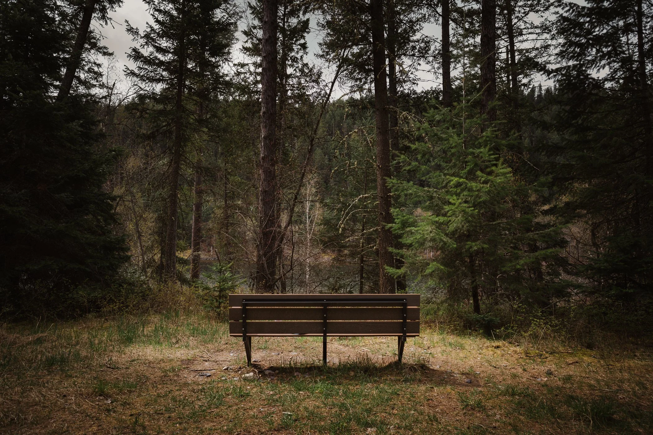 Swan River Nature Trail bench downtown Bigfork Montana