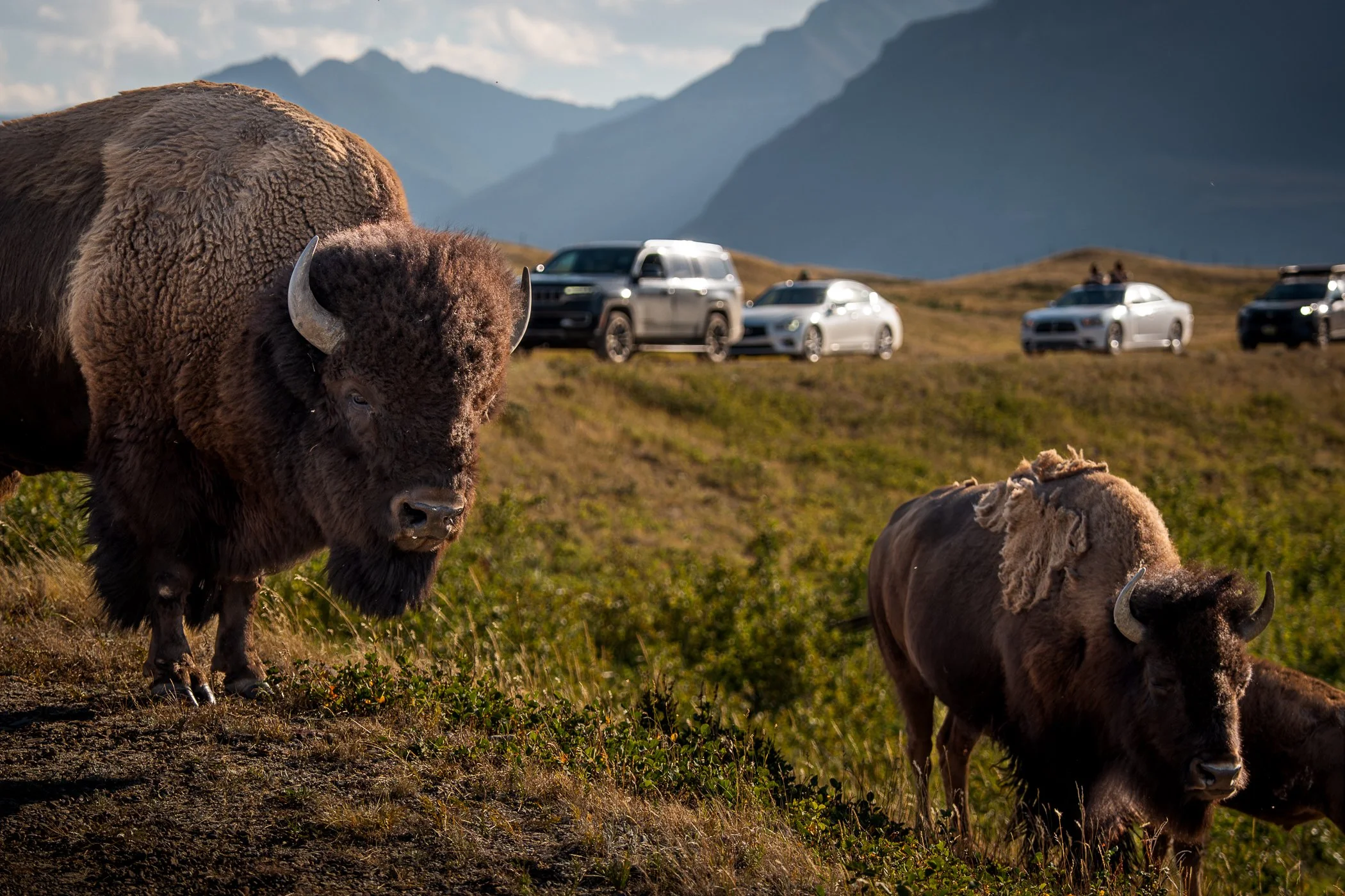 WatertonWeekend-25.jpg