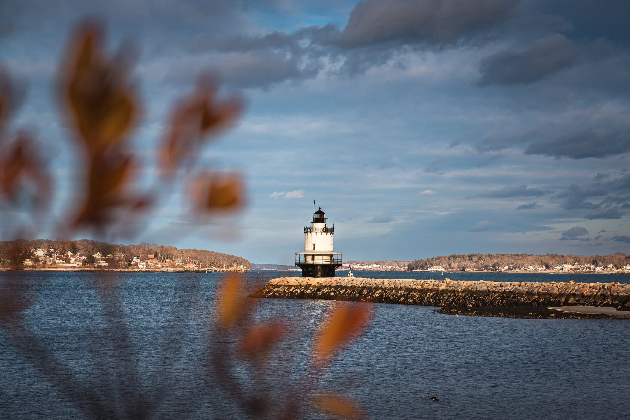 Maine-15.jpg