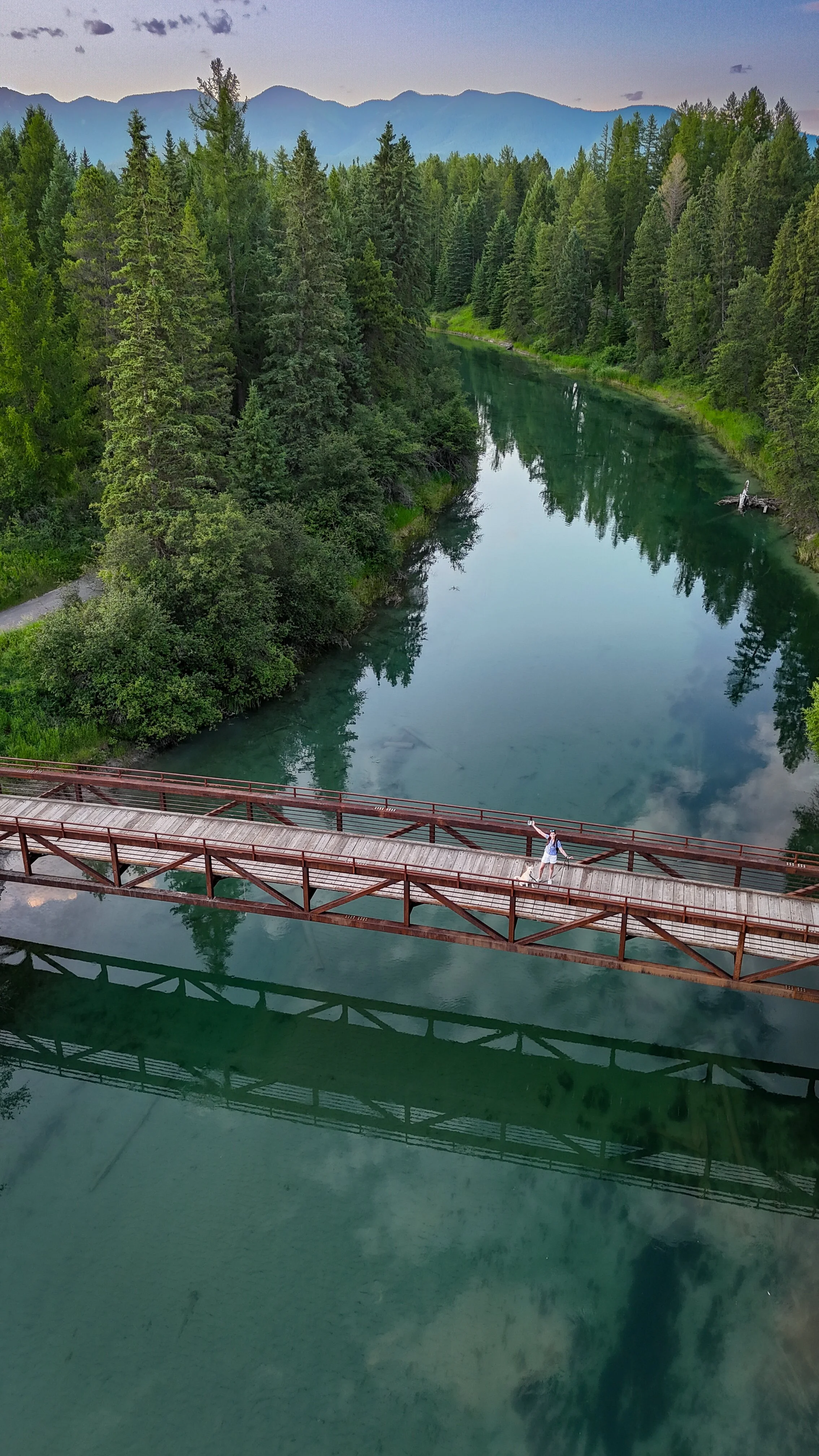 Summer view in Whitefish Montana with a walker and her dog