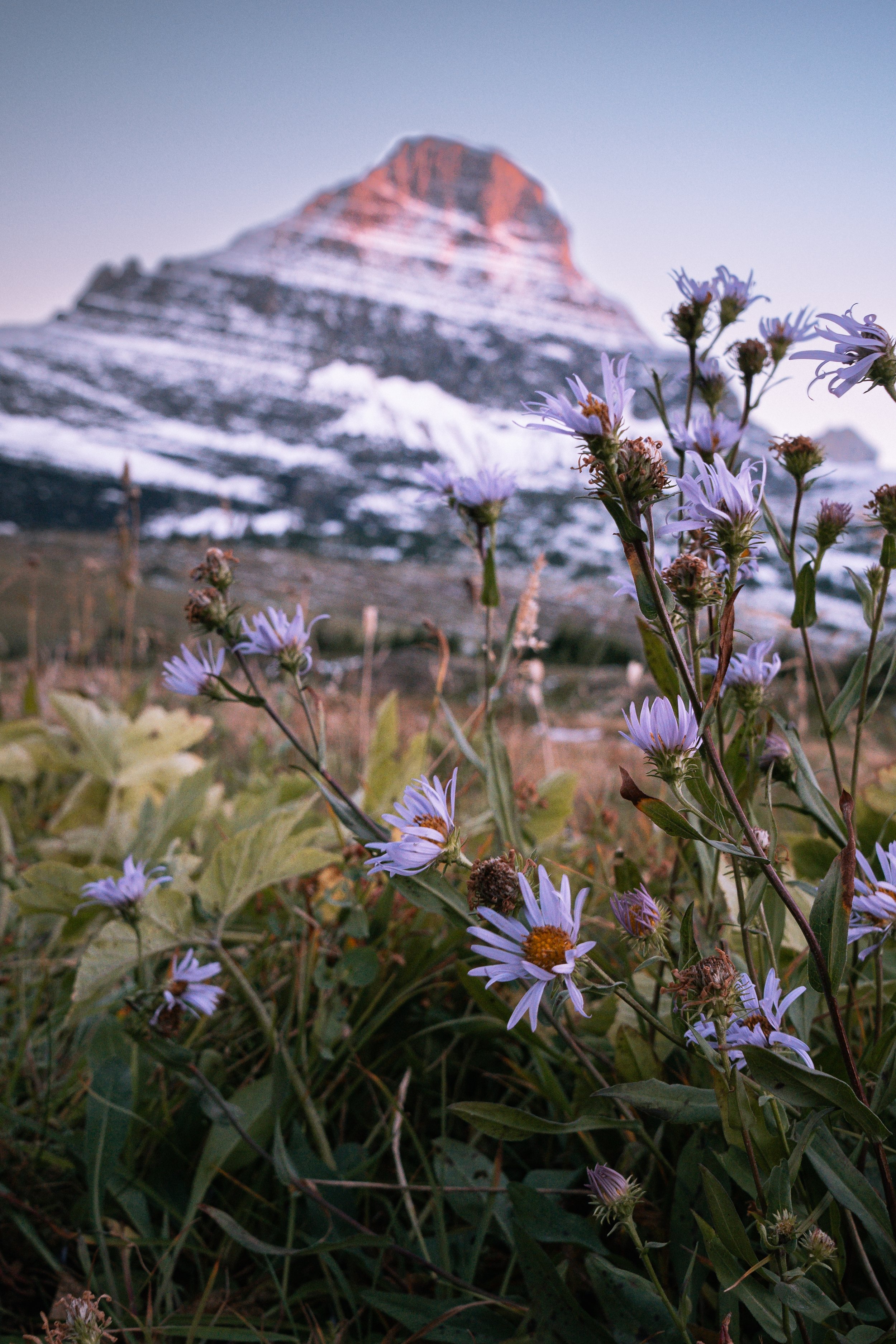 MontanaGuide-3.jpg