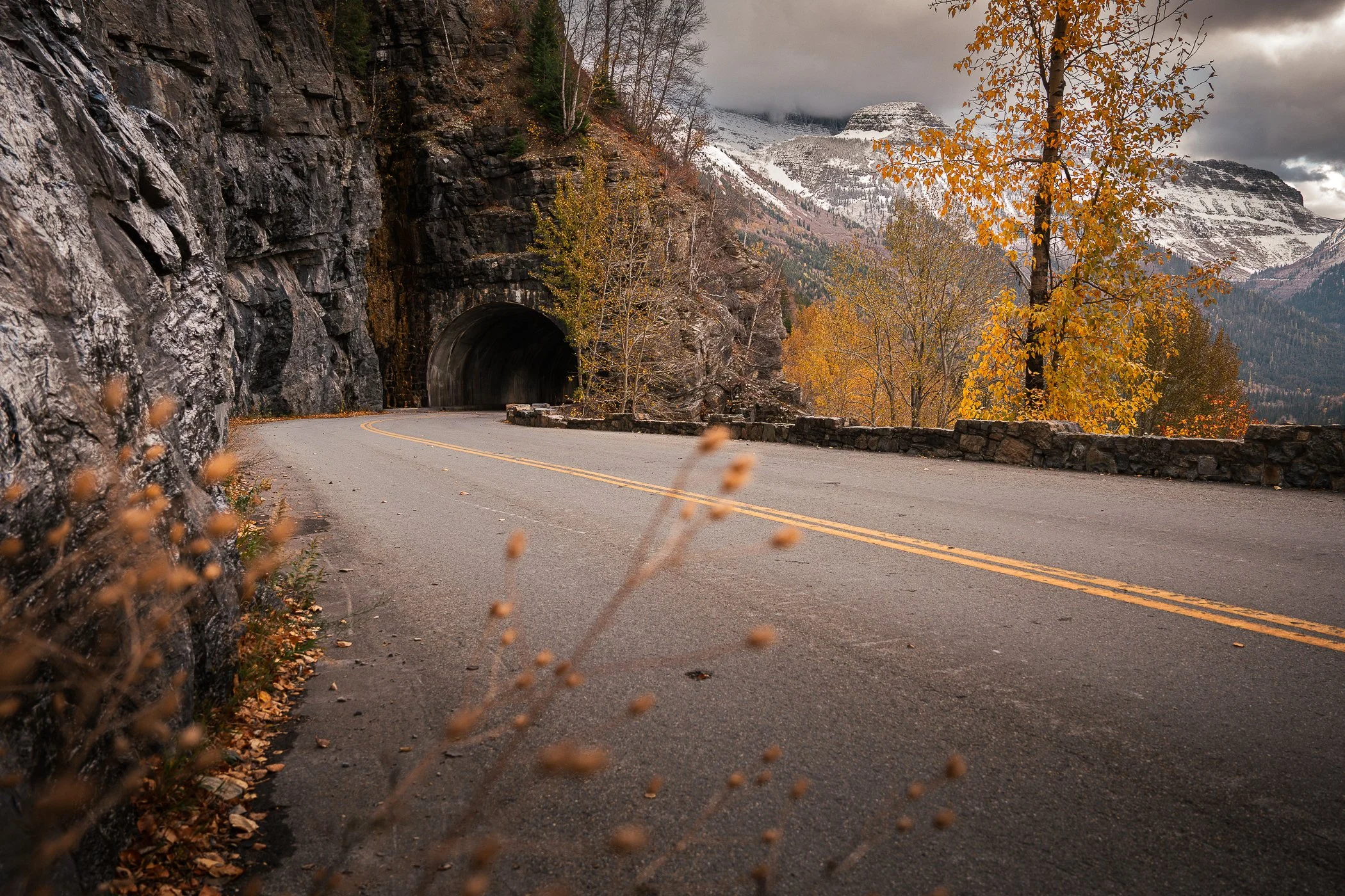 Going to the sun road in October with fall color change and snow