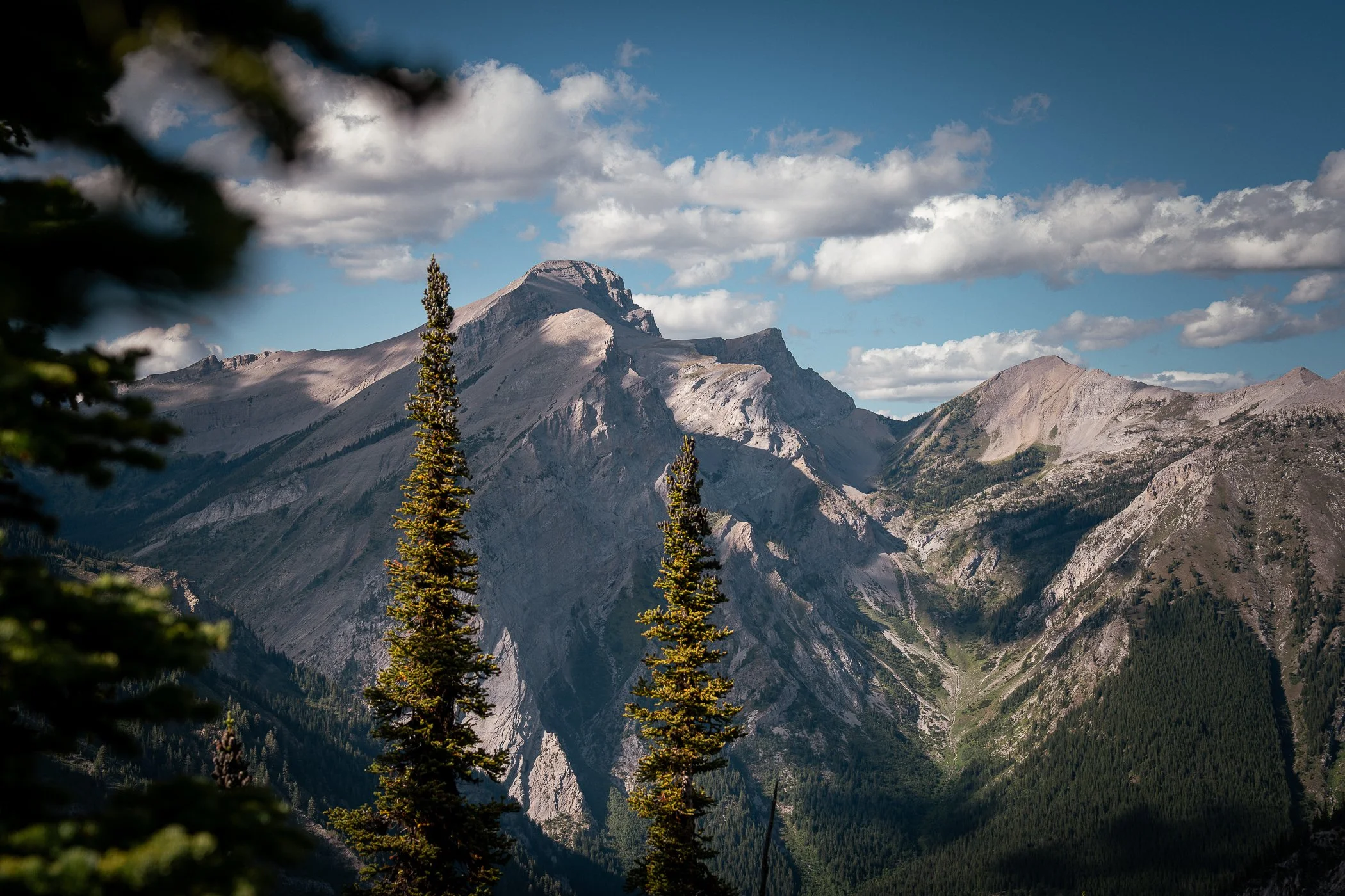 MountFernieRidge-7.jpg