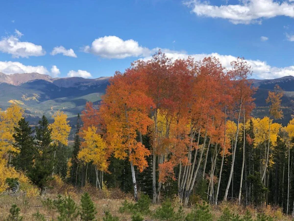 Scenic landscape with colorful autumn trees, mountains in the background, and a partly cloudy sky.